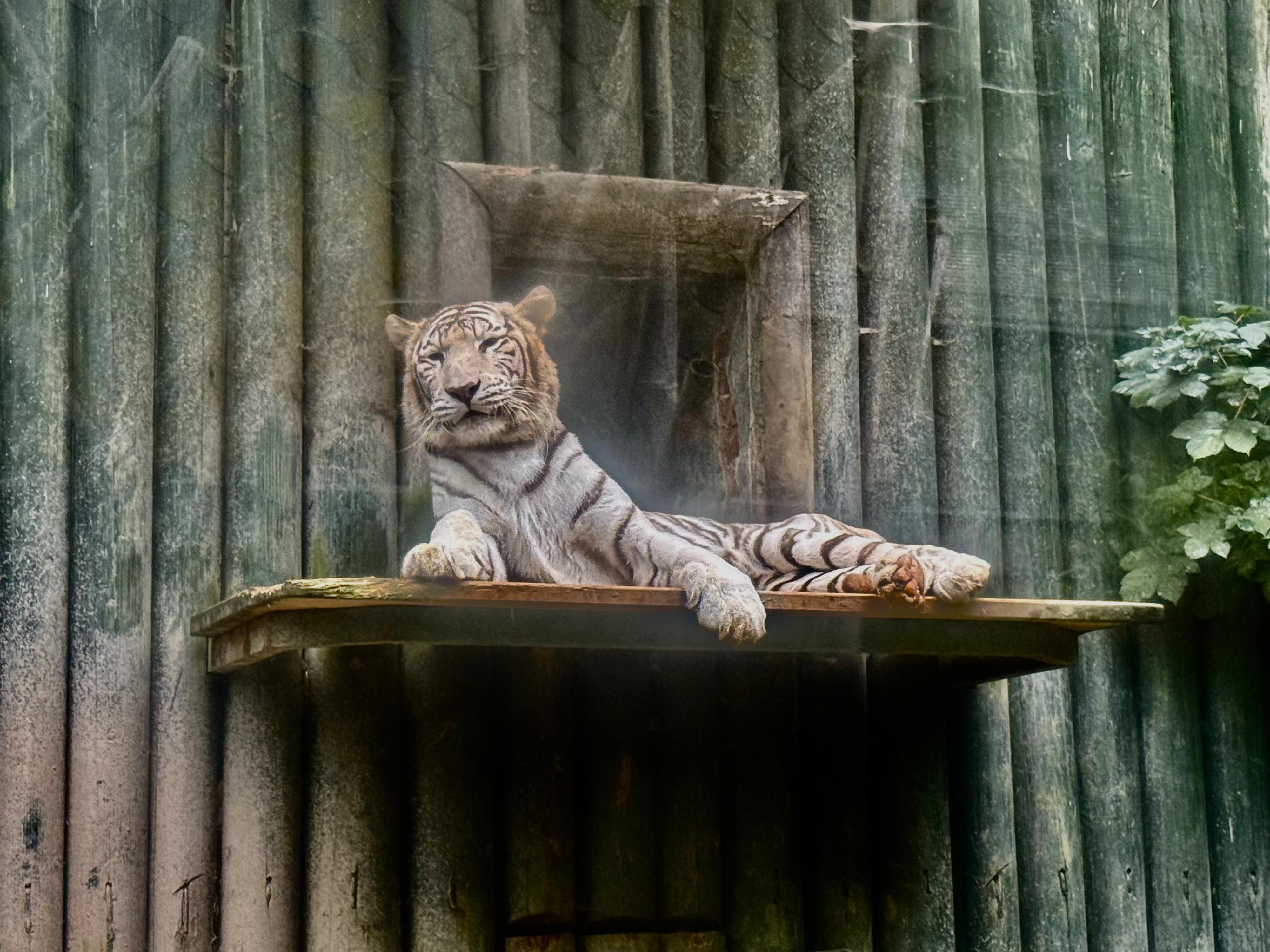 Zoo Liberec foto 5