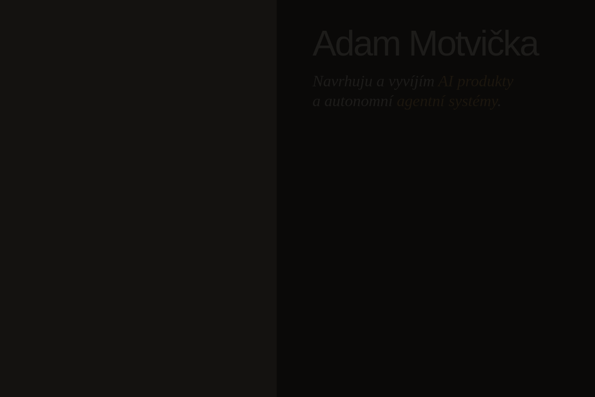 Adam Motvička