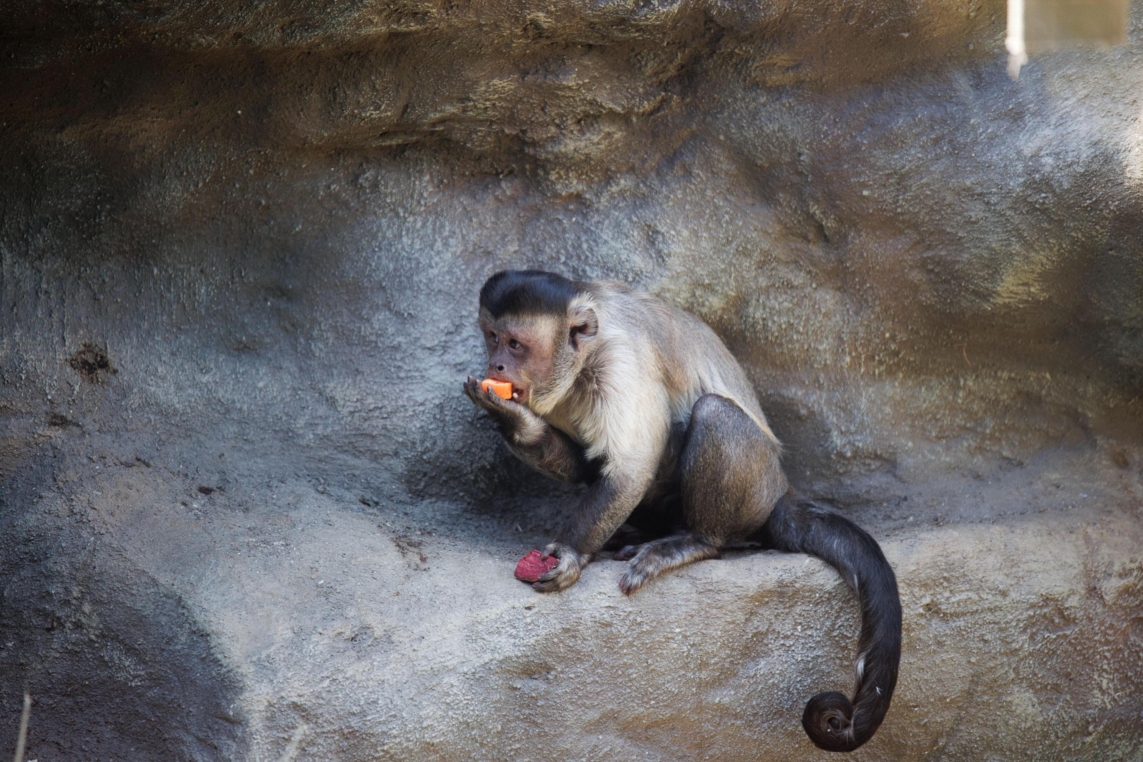 Zoo Plasy foto 2