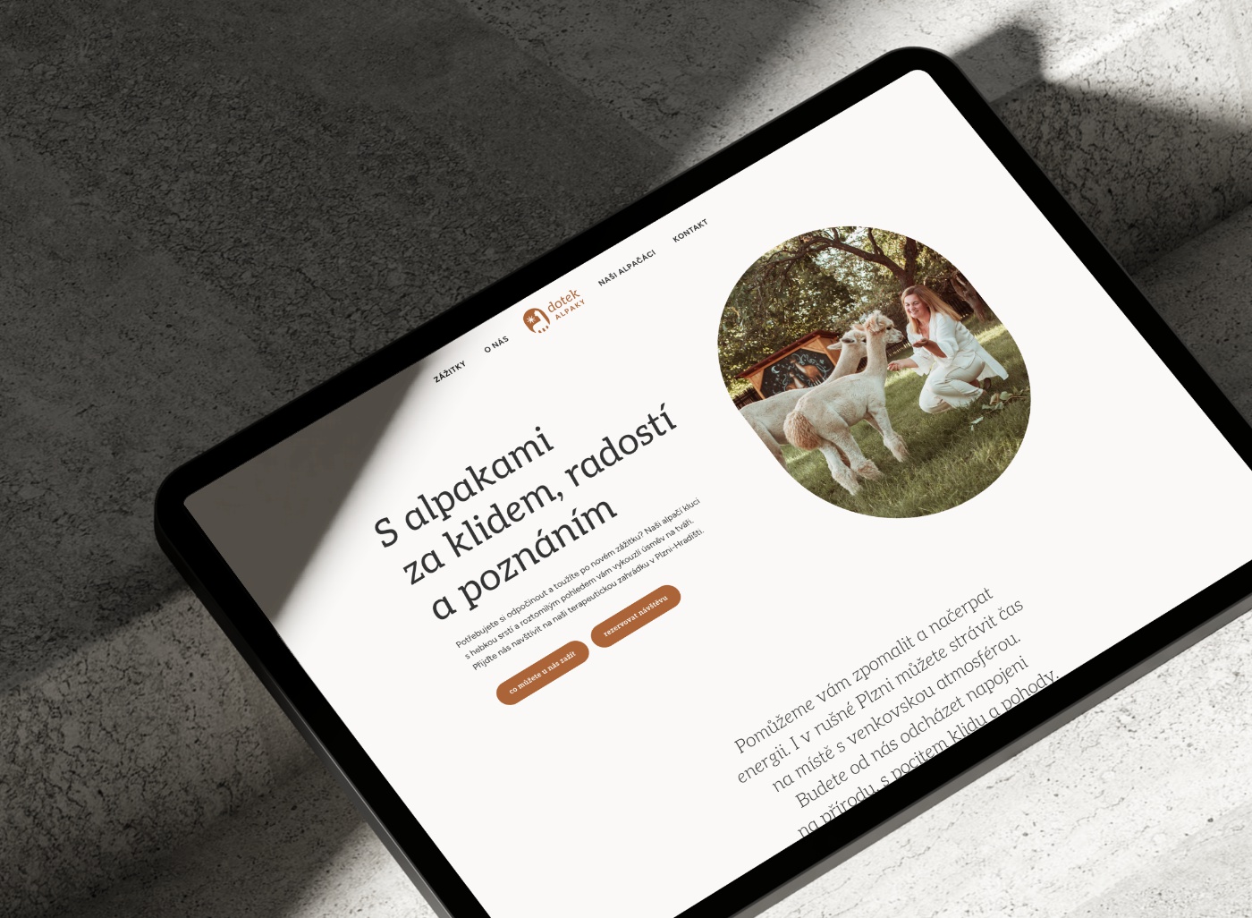 ⎯ readesign foto 5