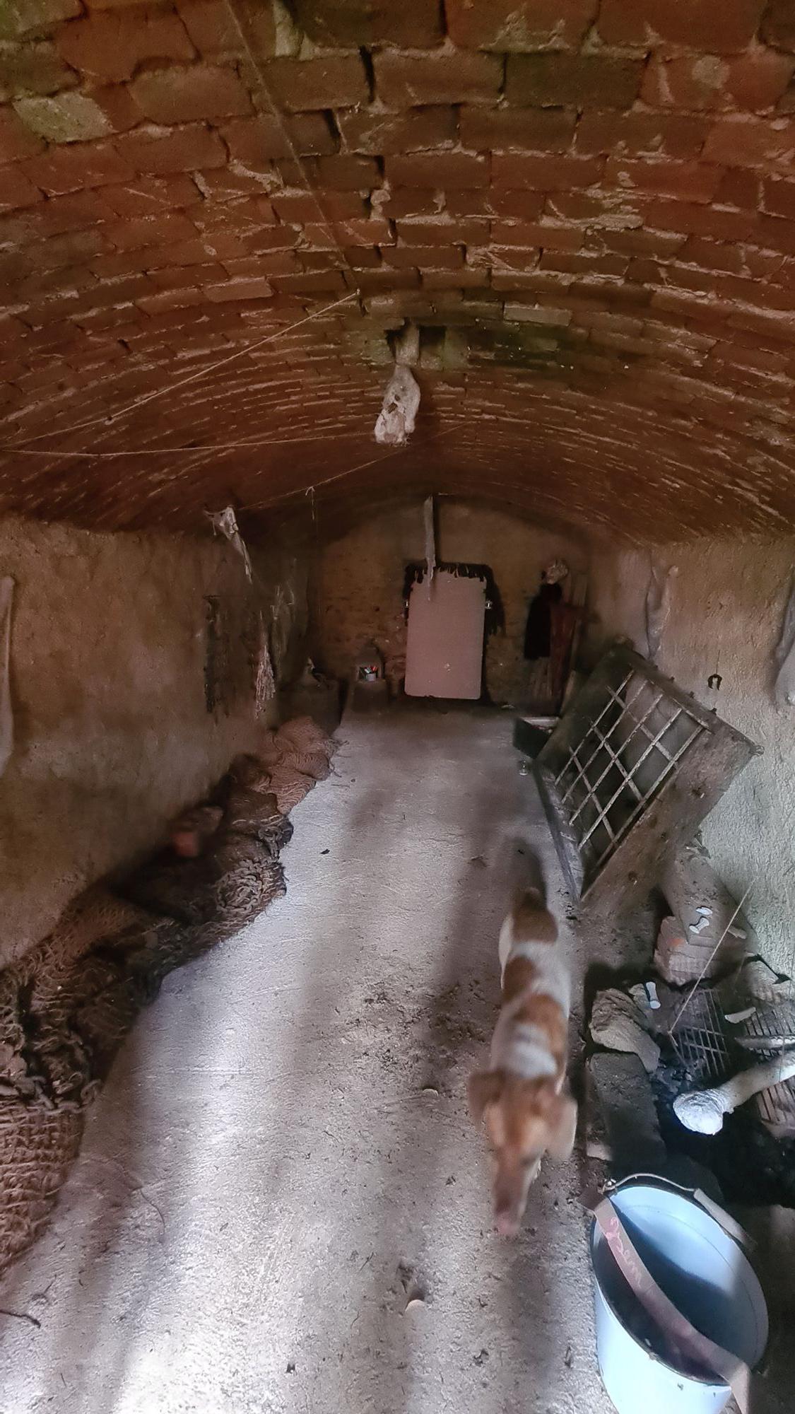 U JOŽINA Z BAŽIN foto 3