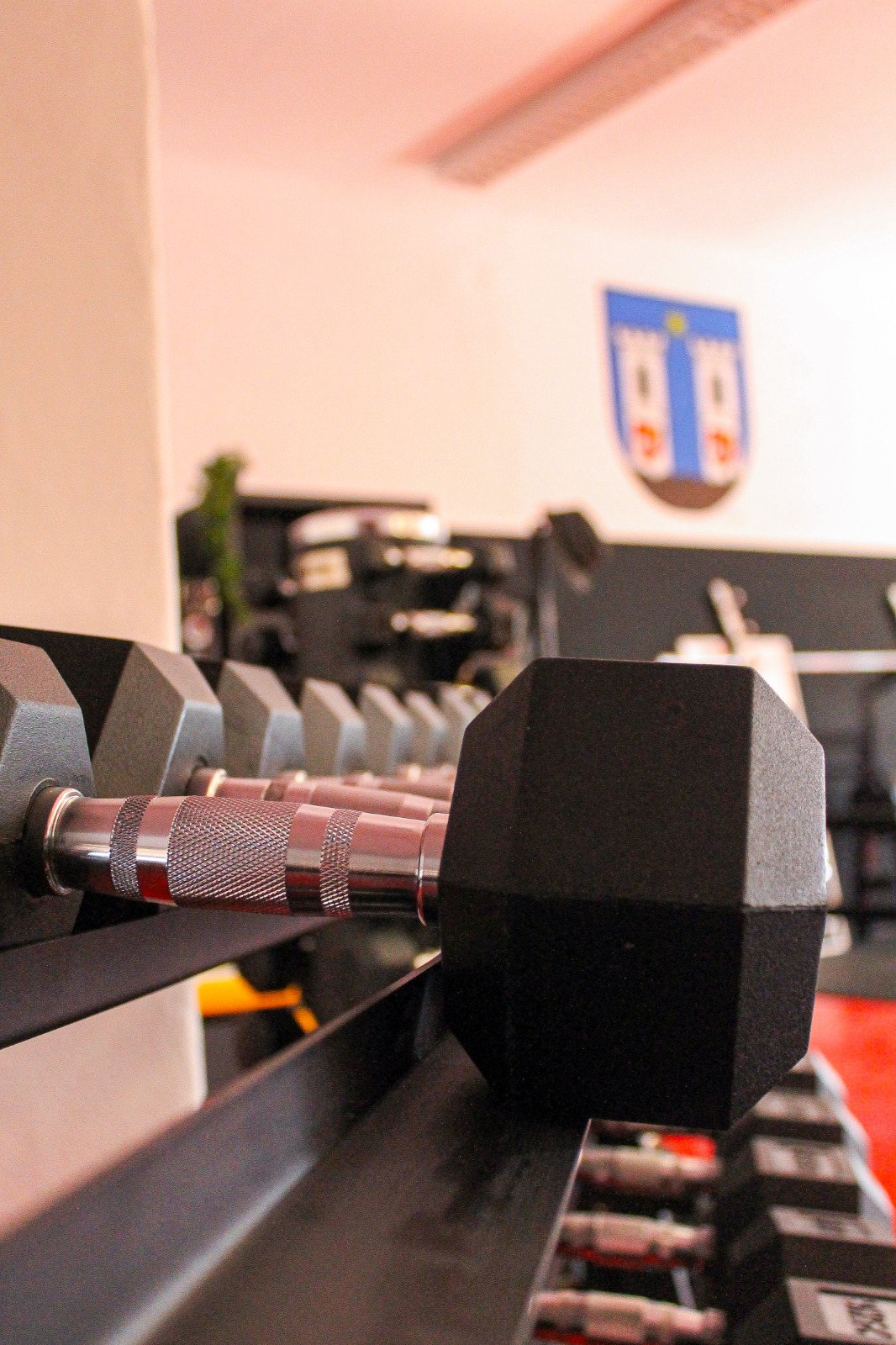 Posilka&Gym foto 6
