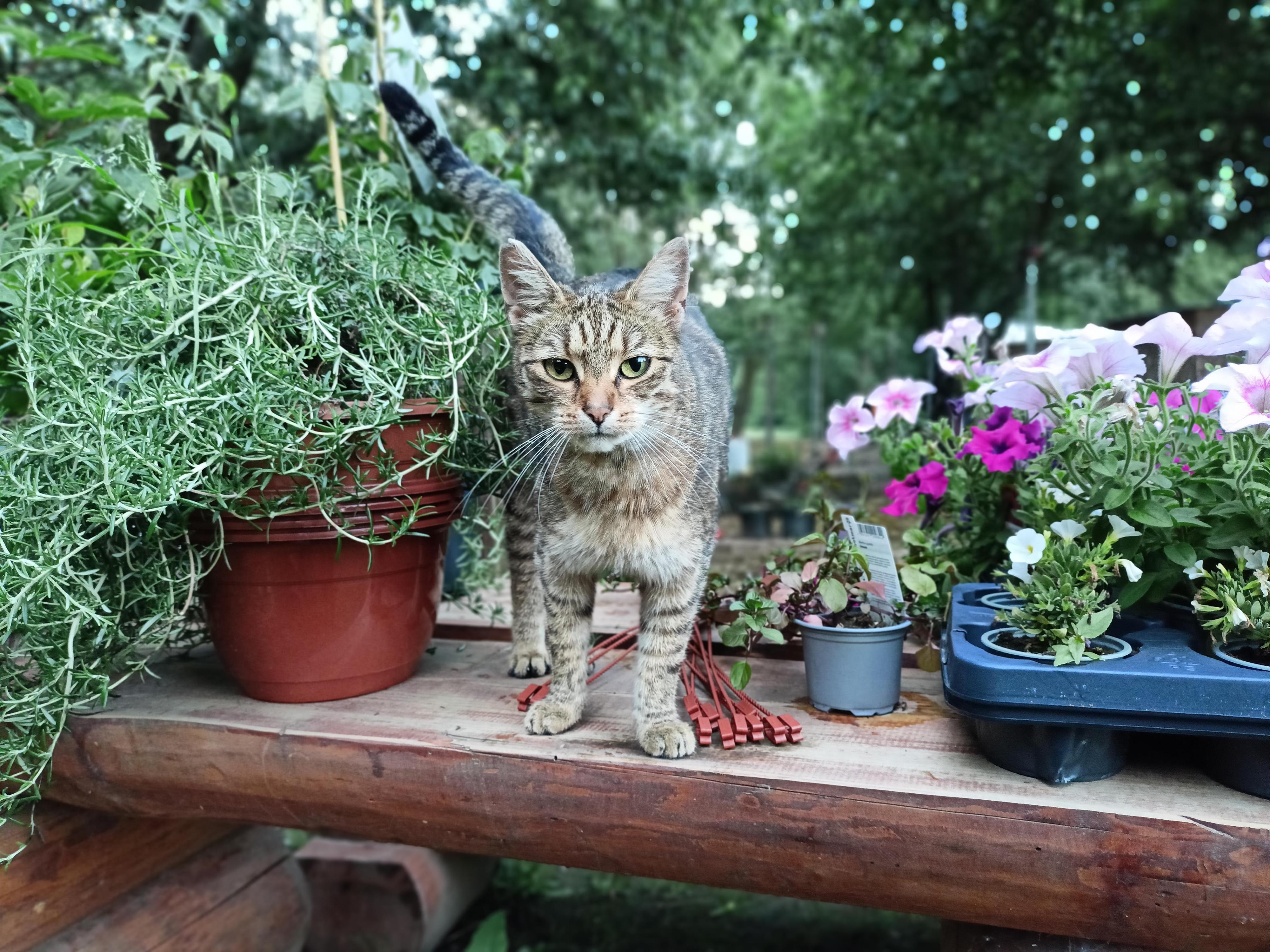 Silvie Kappelová foto 1