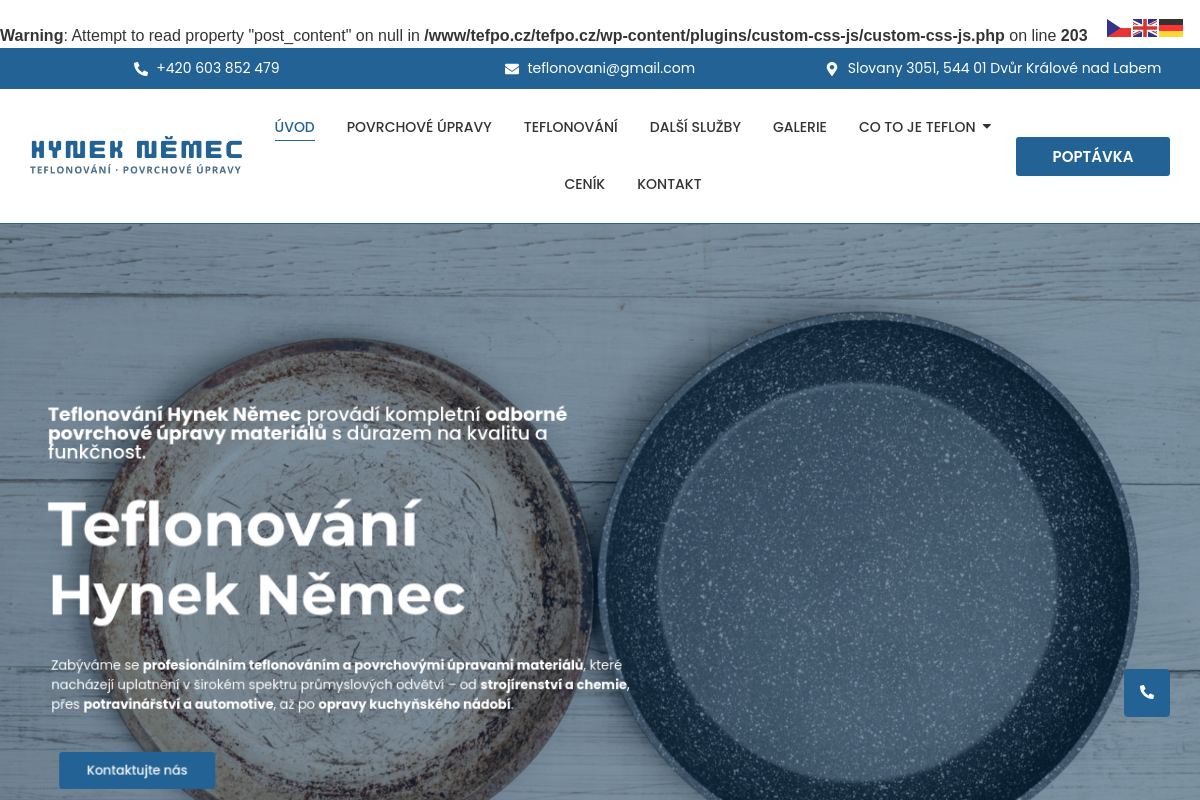 Hynek Němec - Teflonování