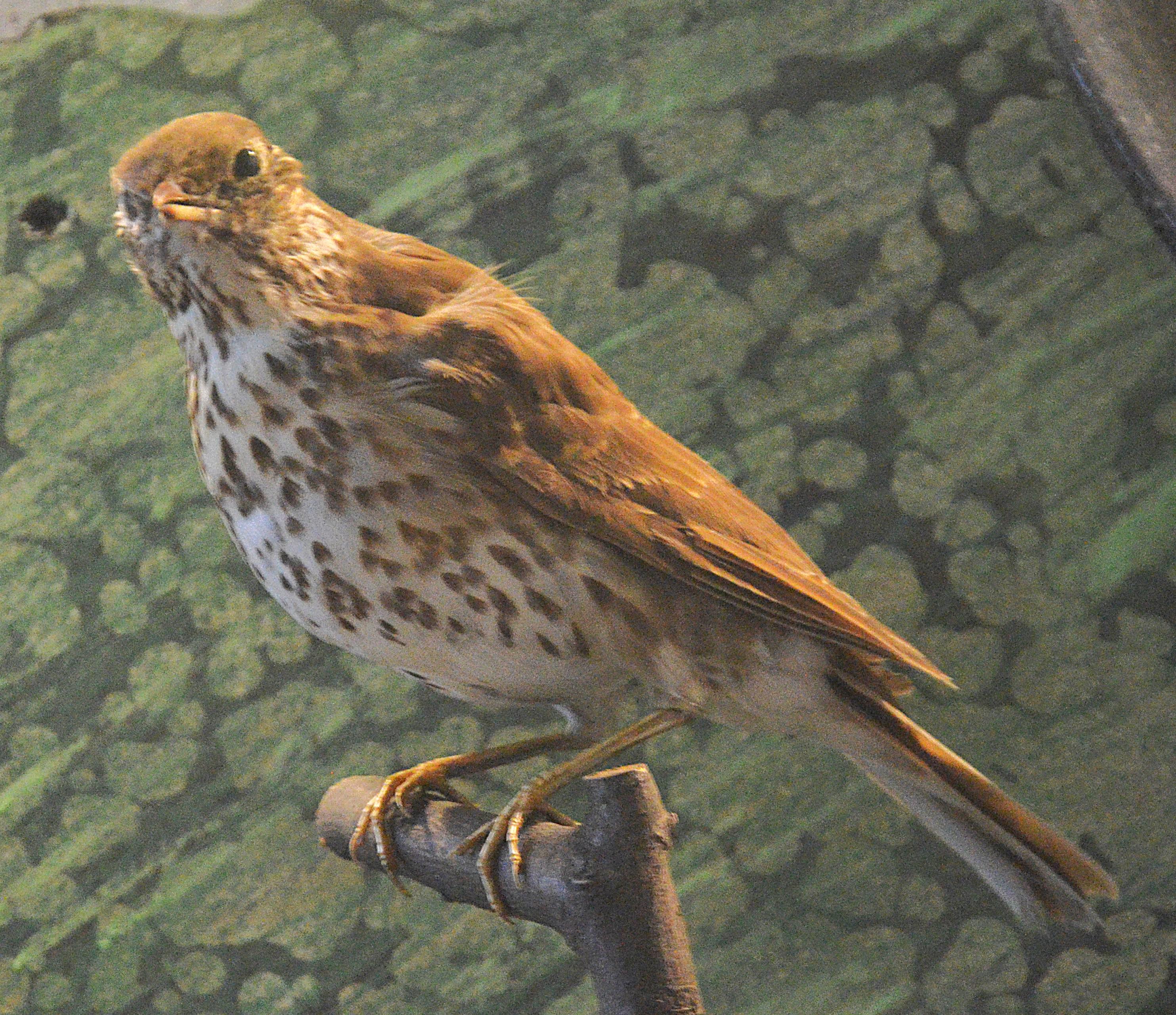 Muzeum Benátky foto 6