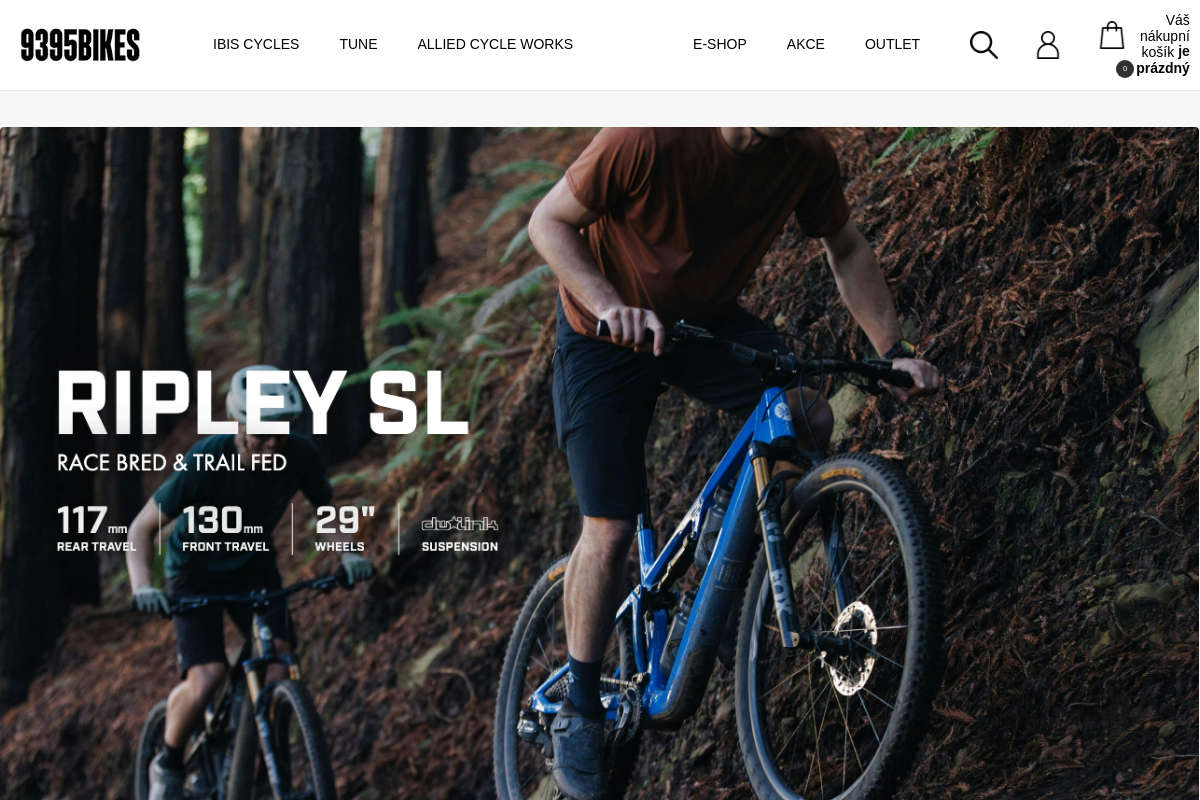 9395bikes.com