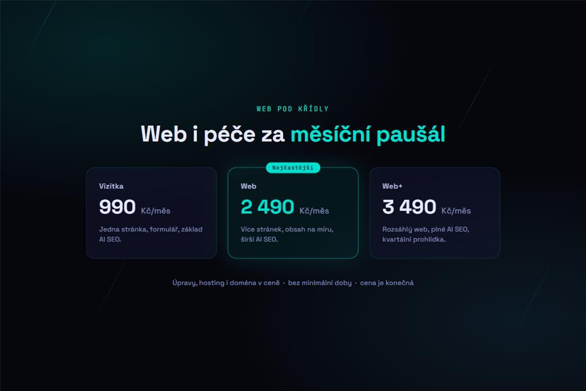 Web pod křídly — web i péče za měsíční paušál