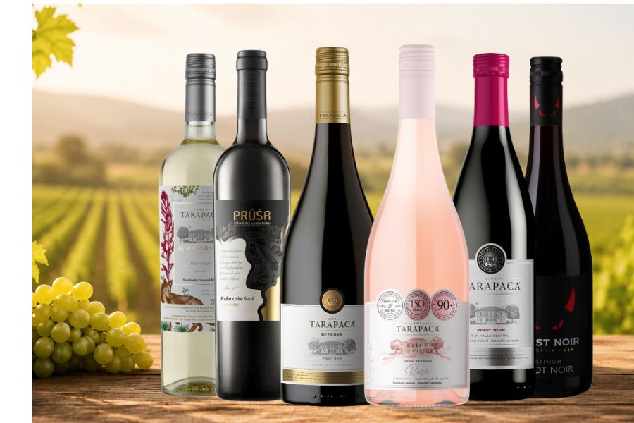 Degustační sada vín Pinot