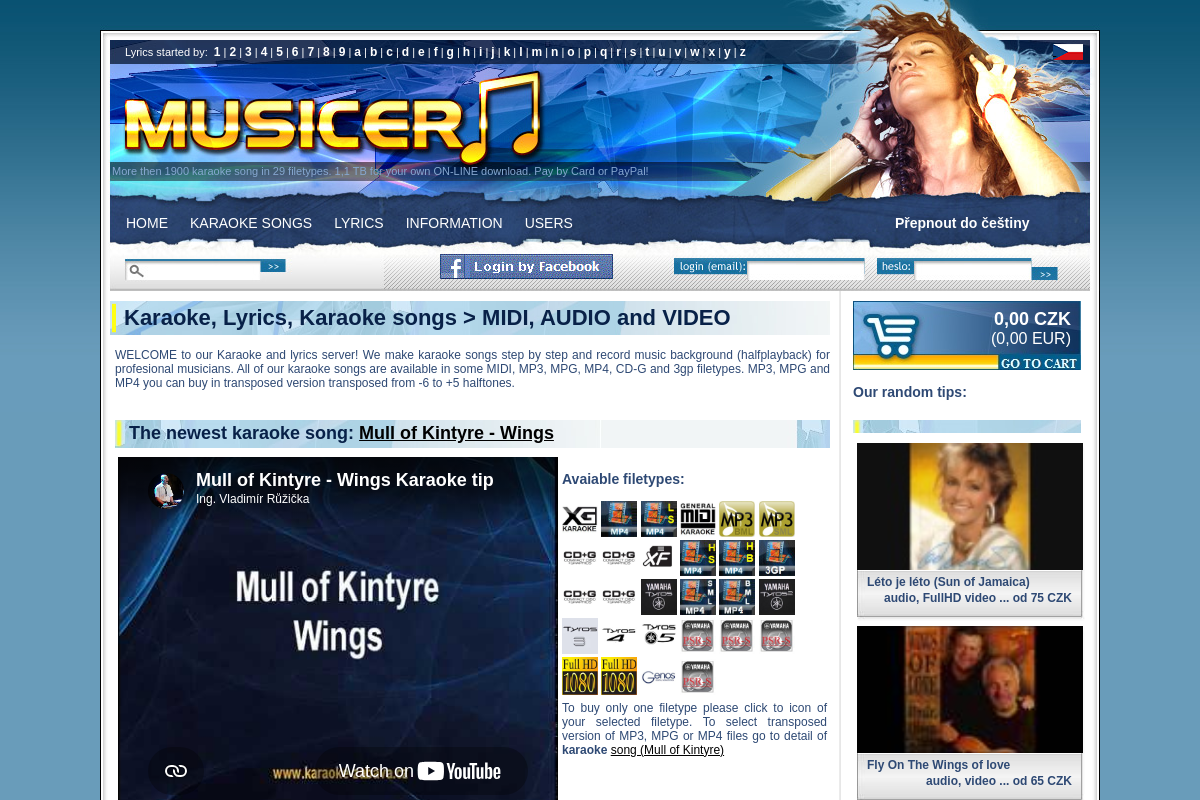 Musicer.net