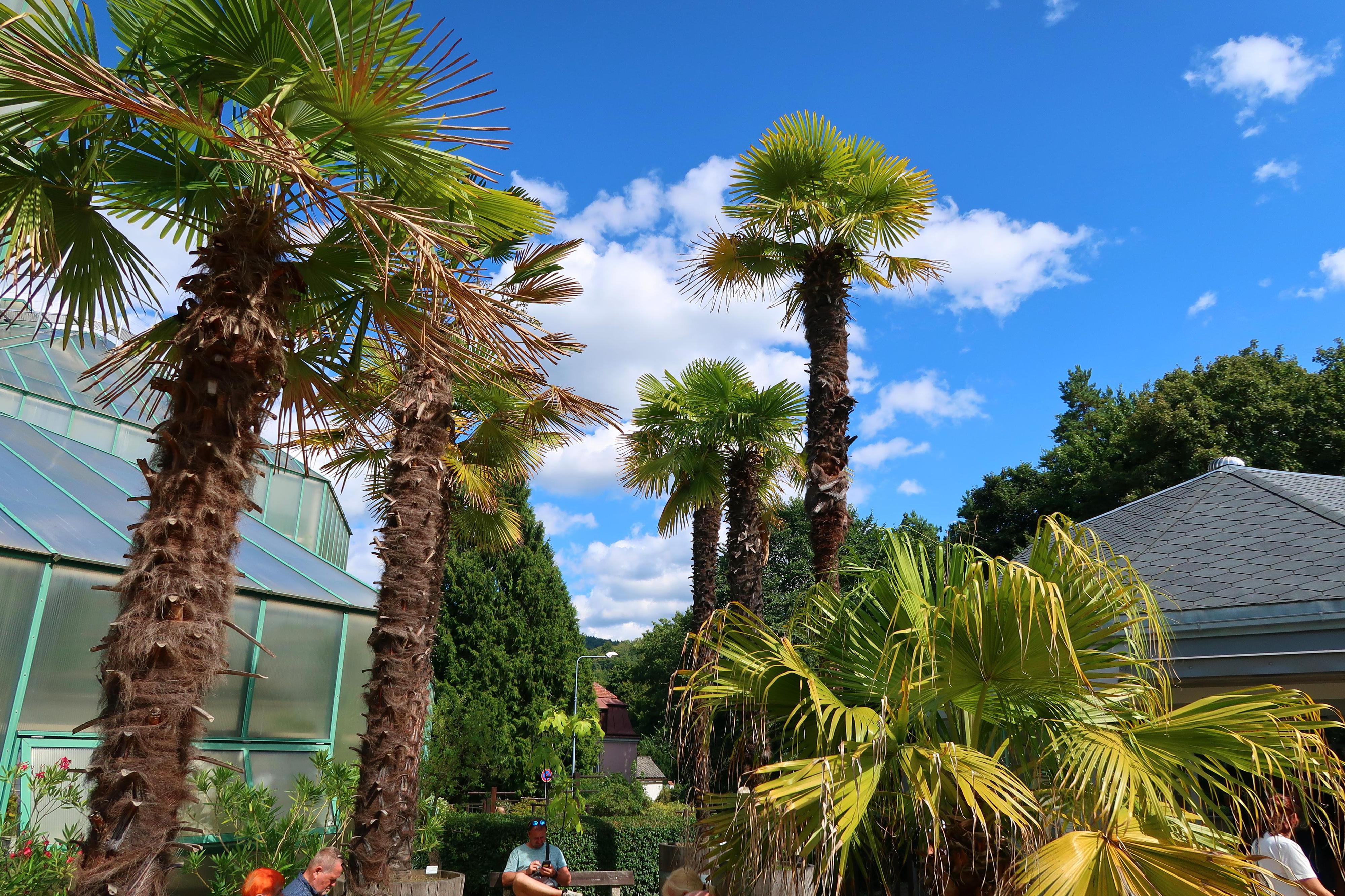 Botanická zahrada Liberec foto 5