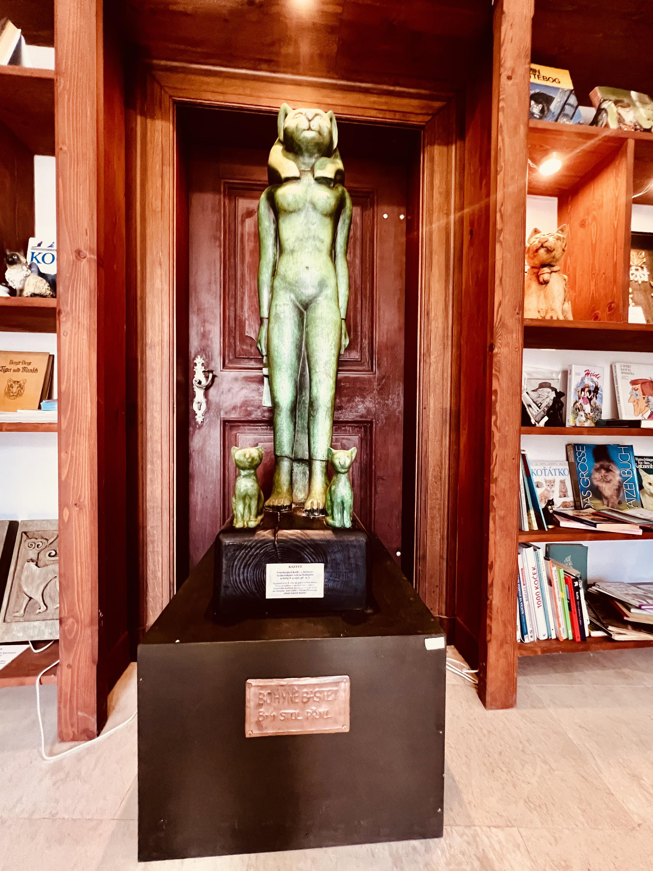 Muzeum kočky foto 3