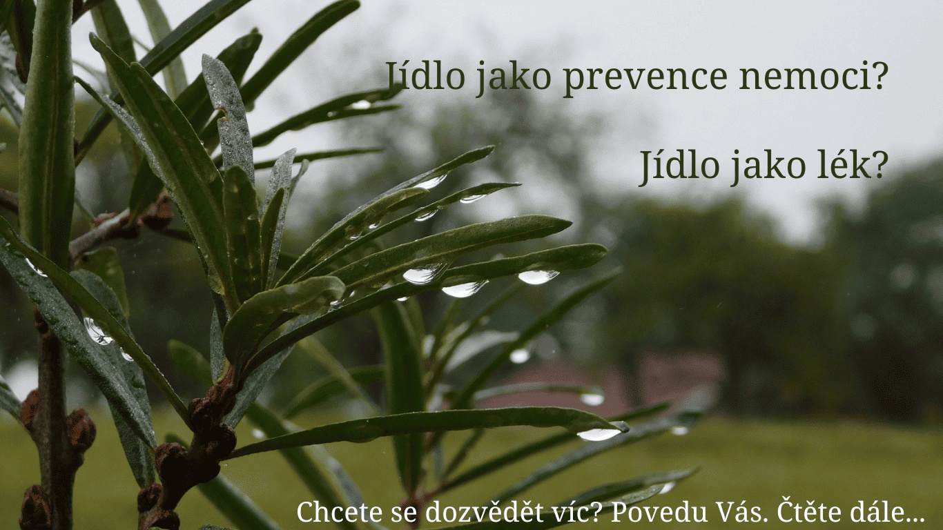 Jolana Goliášová - Zdravý životní styl foto 1