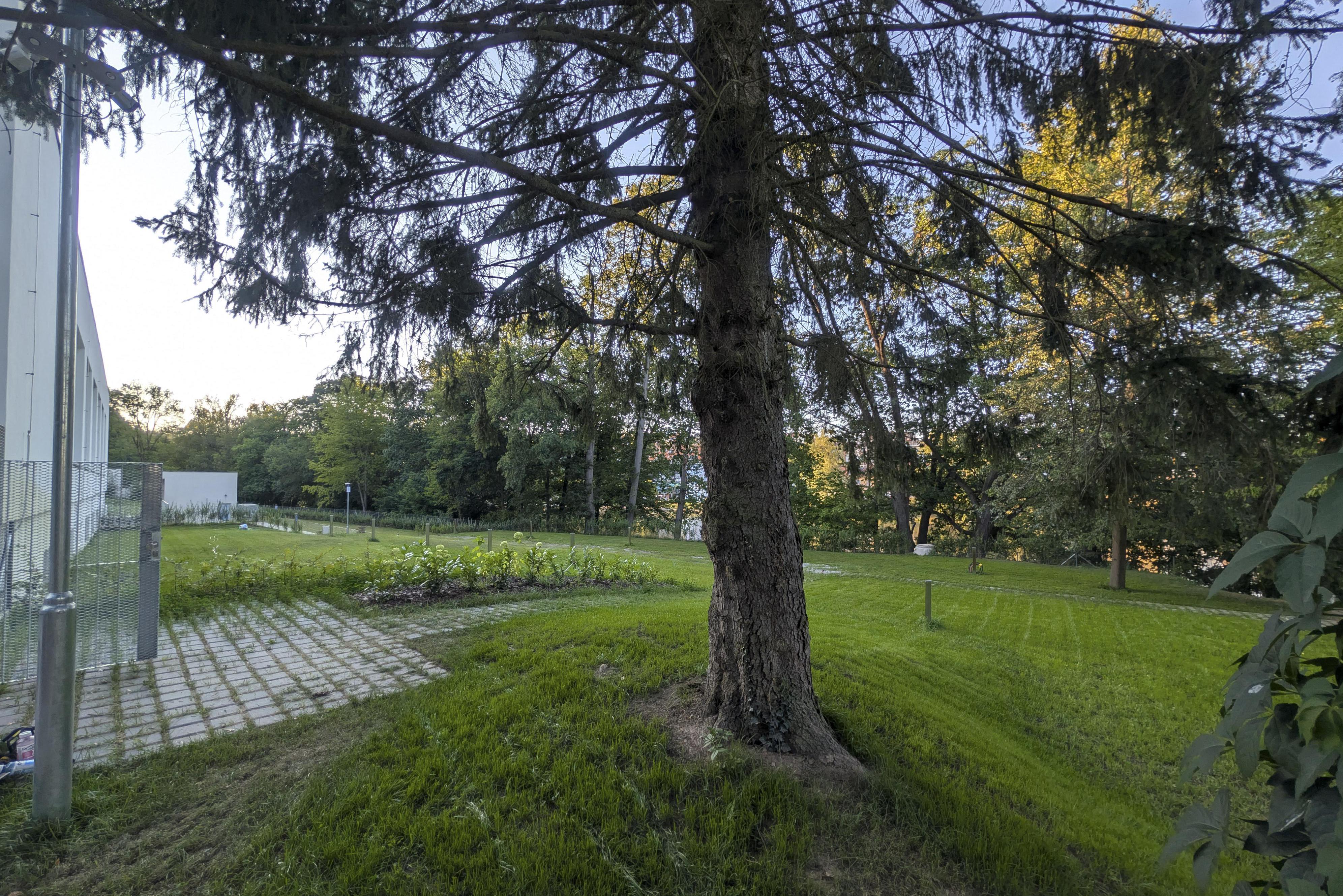 BEJZ CAMP LezeTop