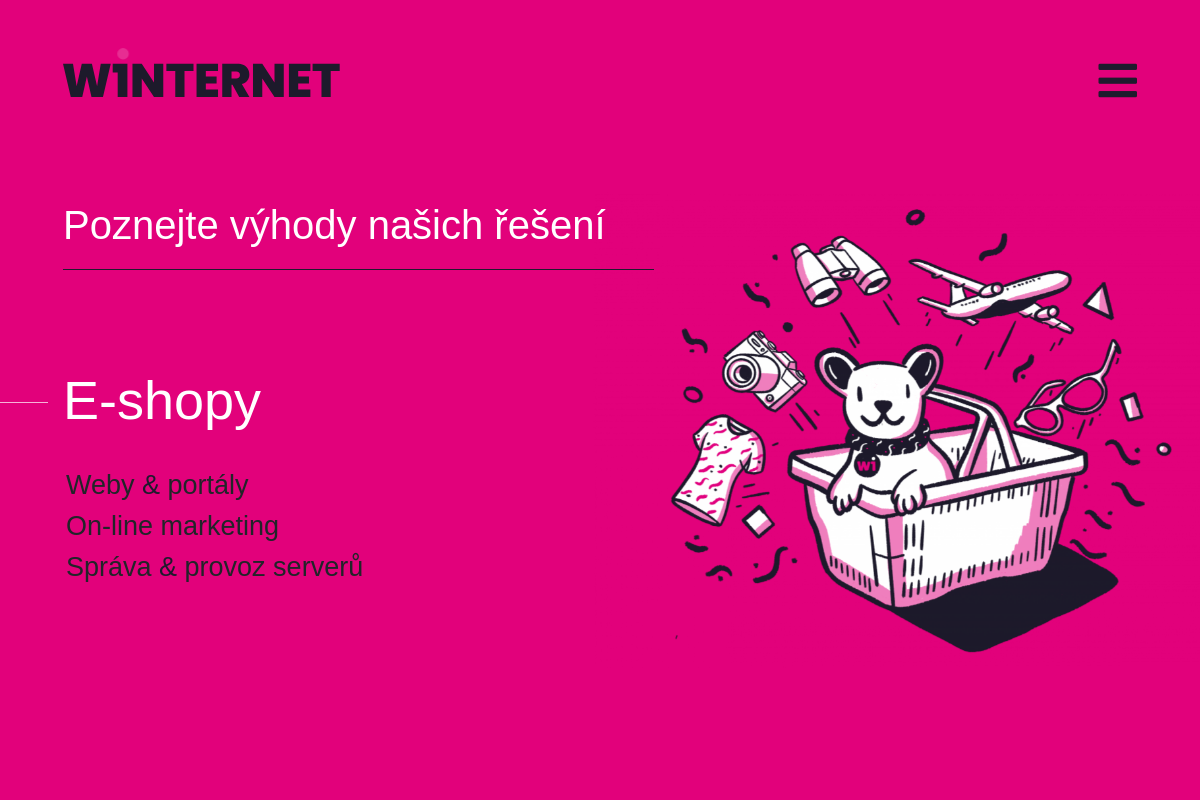 WINTERNET