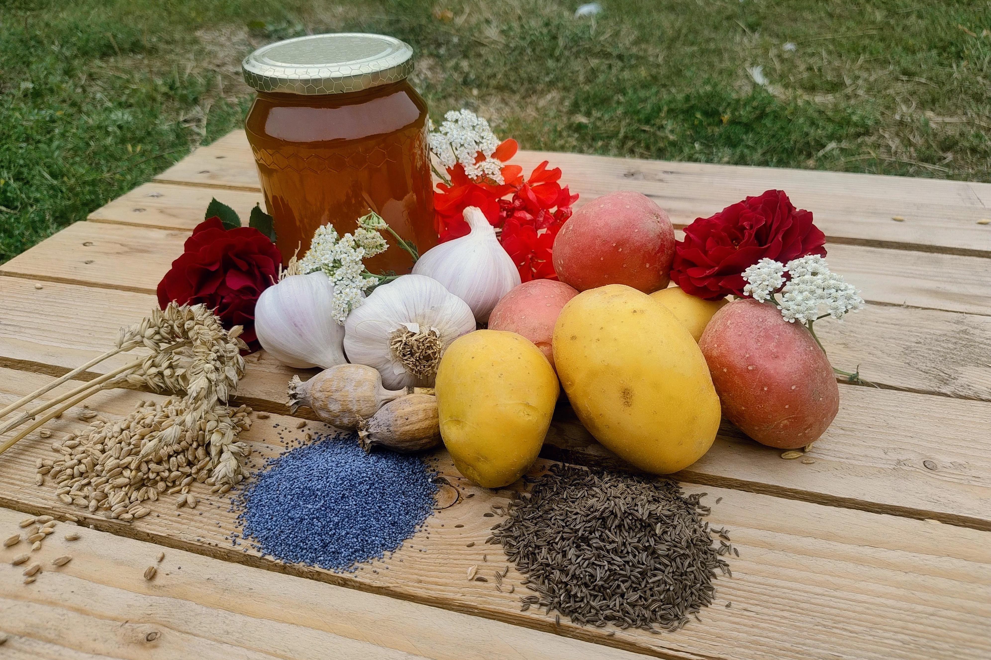 Farma Šustkovi