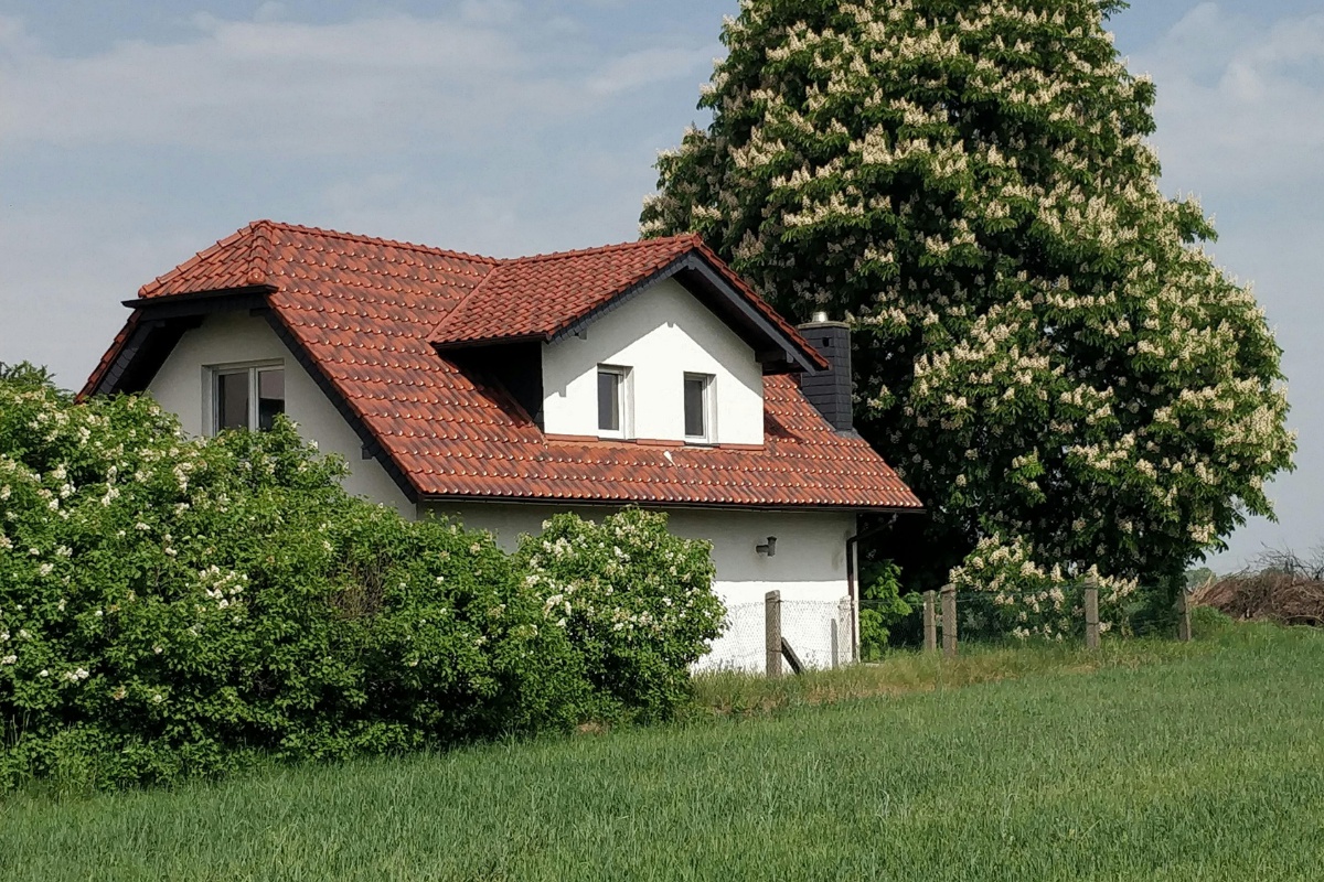 Ing. Marta Musilová, BA - Odborný odhadce