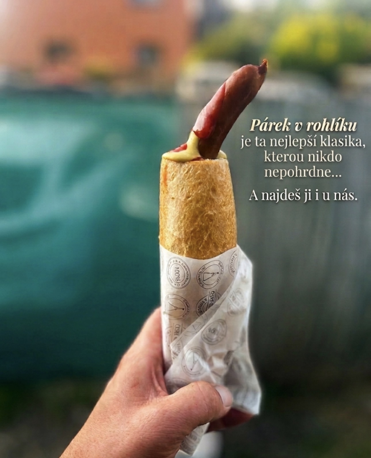 Paršovka foto 4