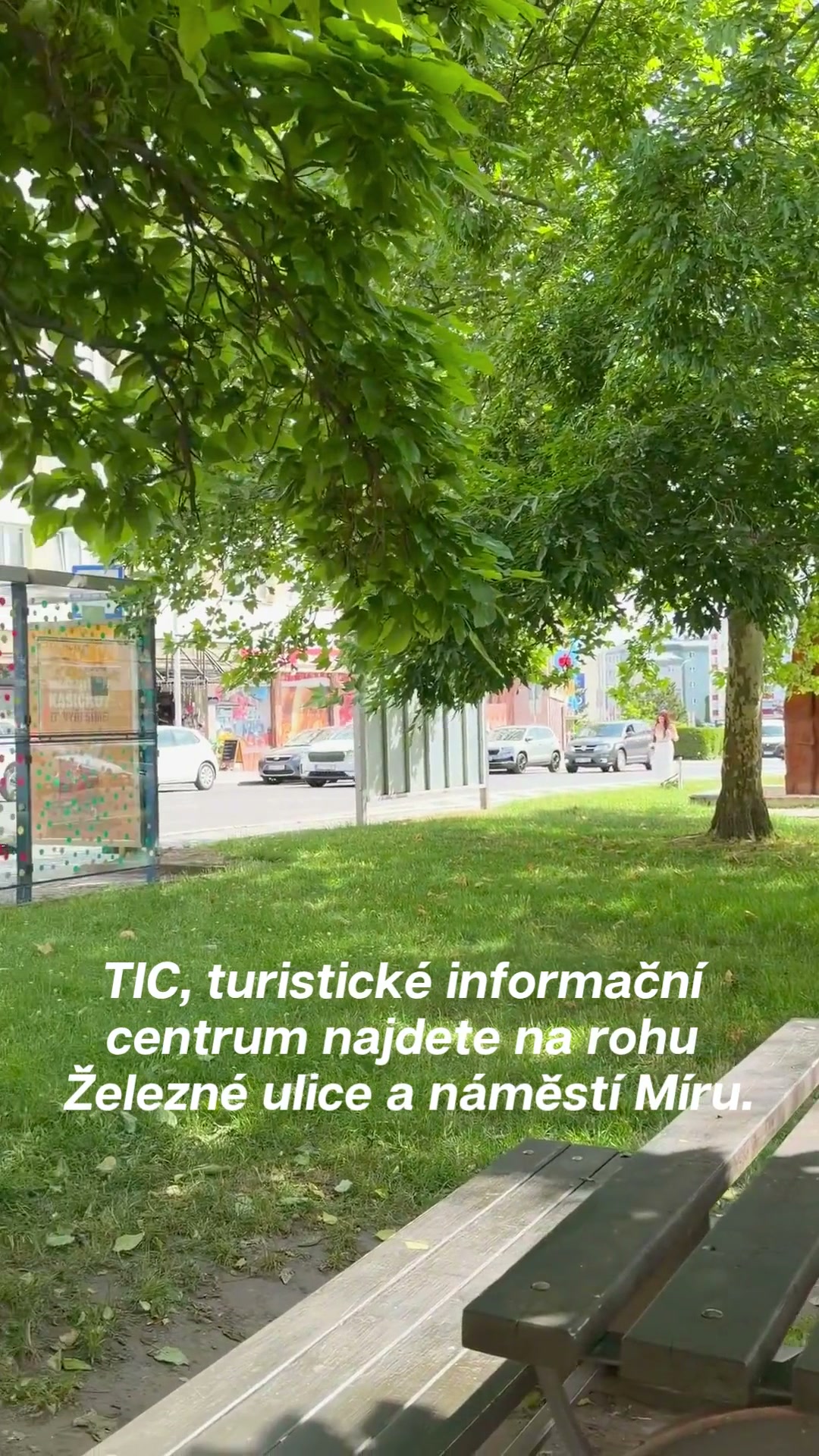 Turistické informační centrum Mladá Boleslav foto 2 (náhled videa)