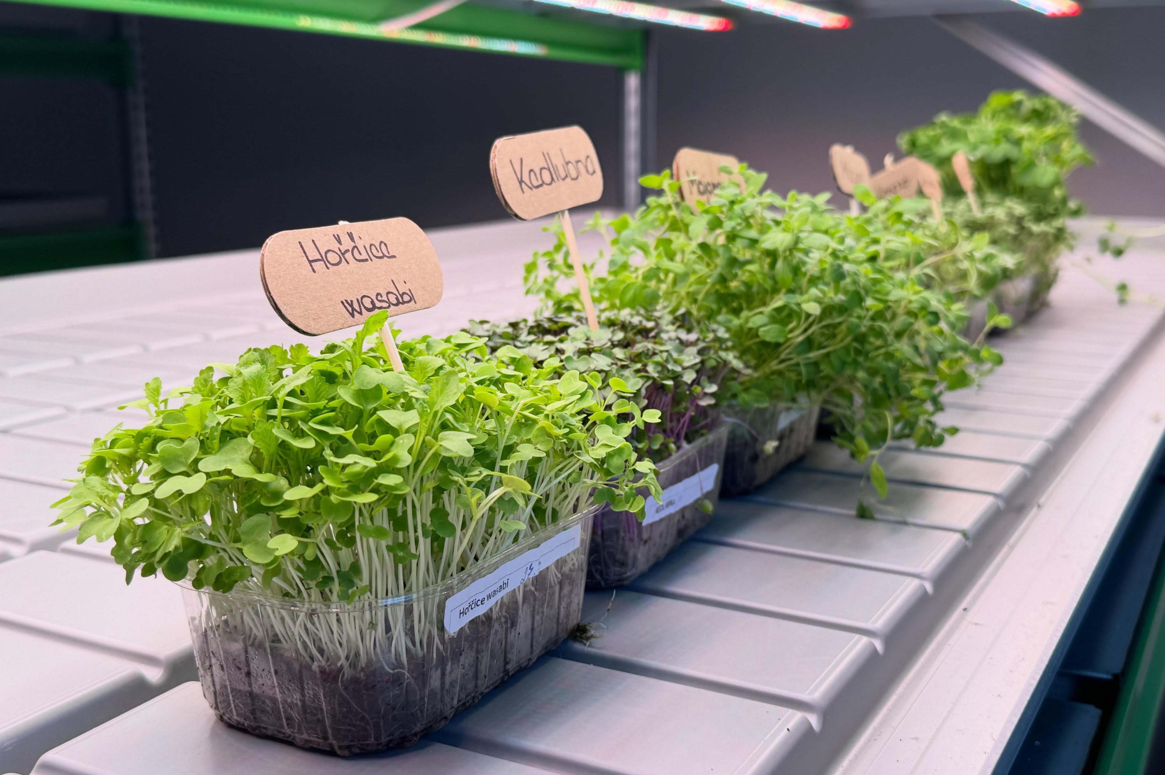 Návštěvnické centrum Továrna - hydroponická farma