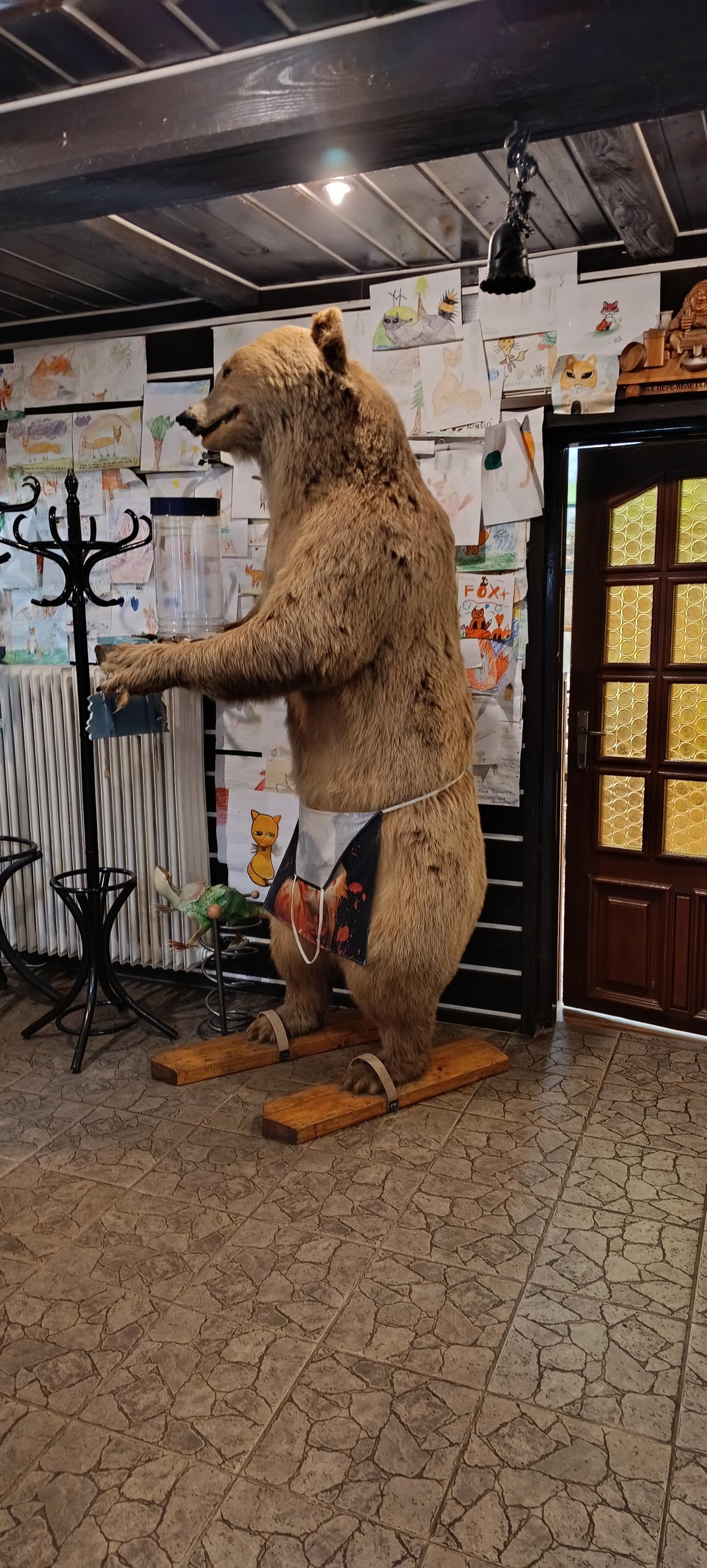 Hotel U Červené lišky foto 6