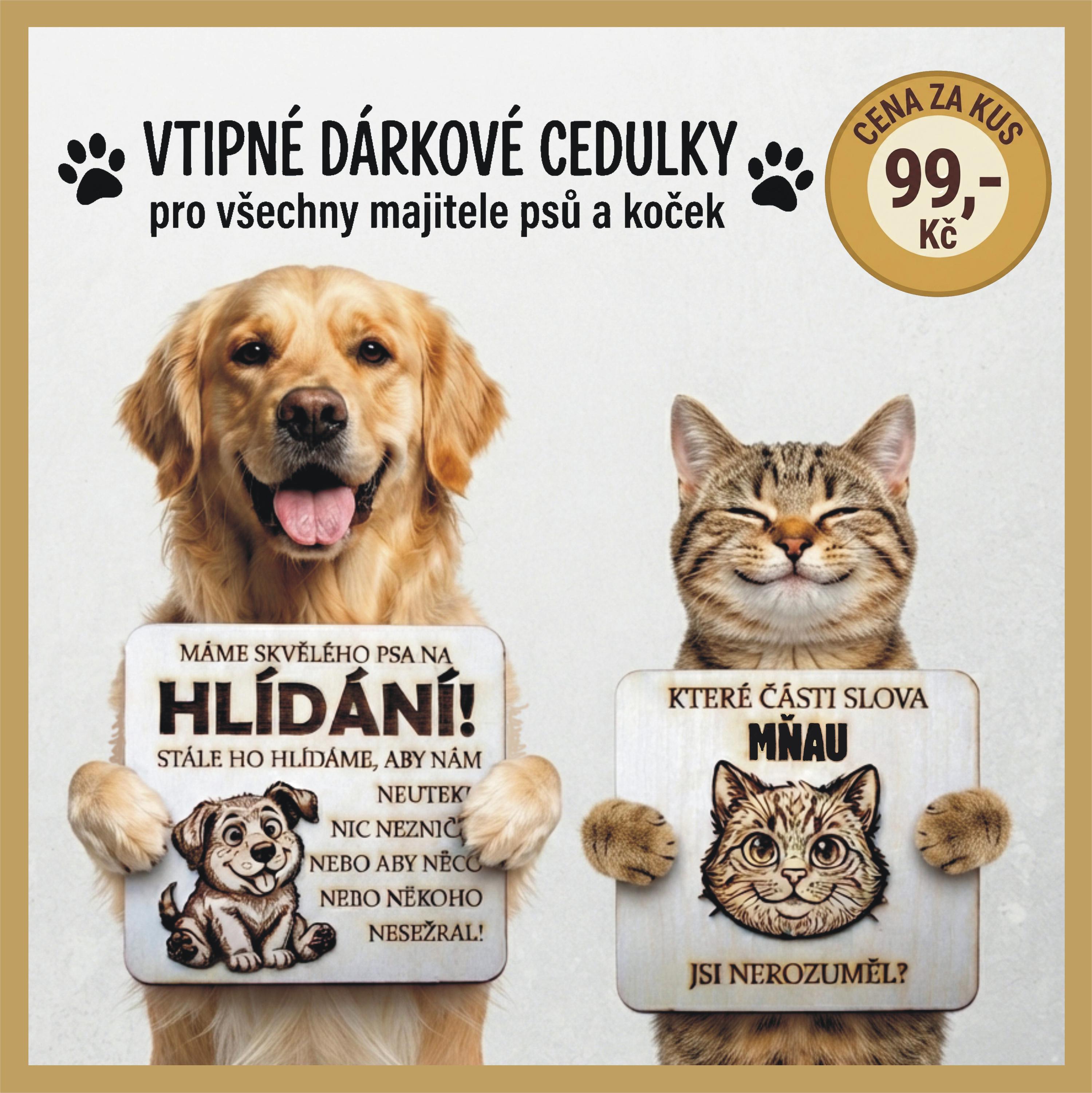 DŘEVÁCI foto 3