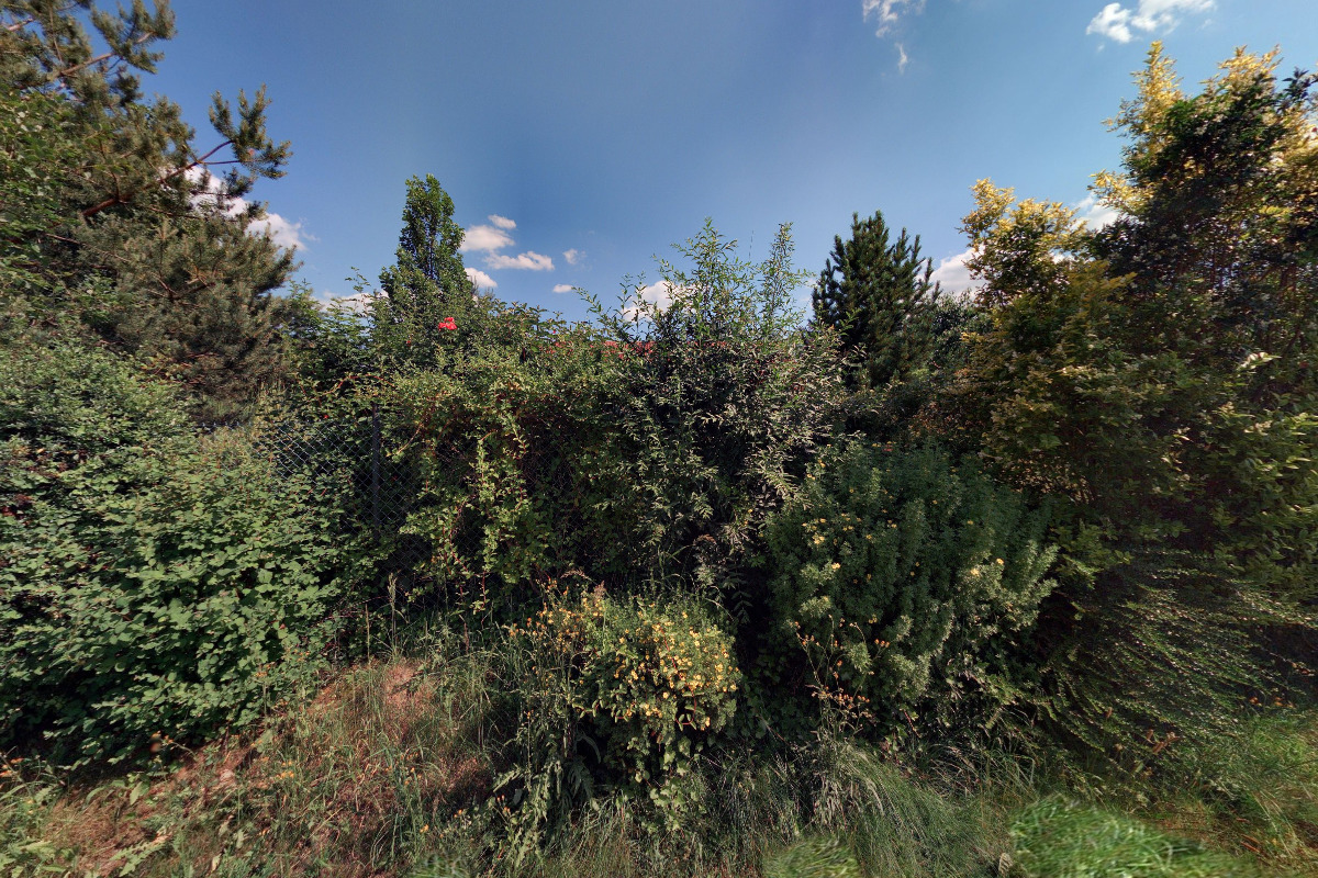 REMAX Drive