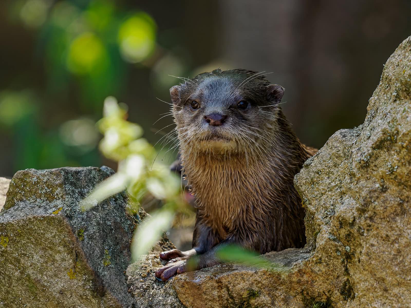 Zoologická zahrada Na Hrádečku foto 5