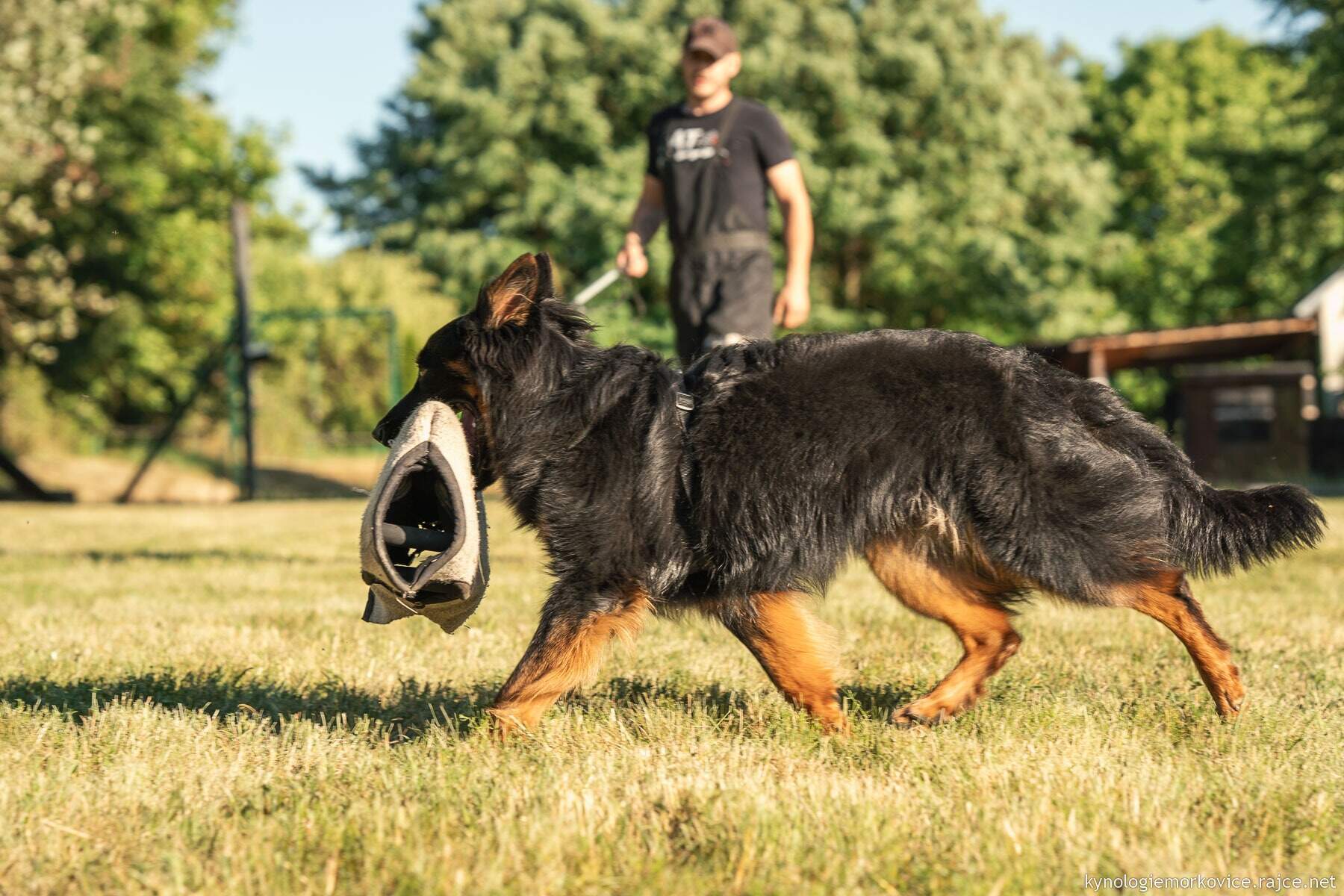 Kynologický spolek Morkovice foto 2