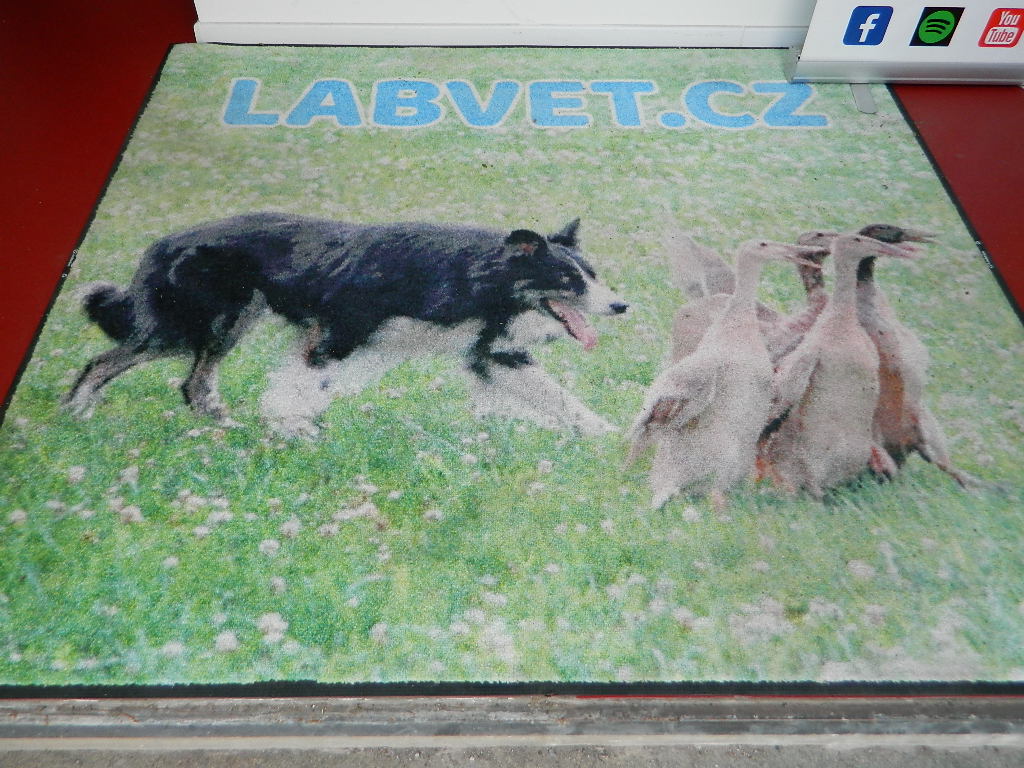 Labvet.cz - veterinární laboratoř a ordinace foto 2