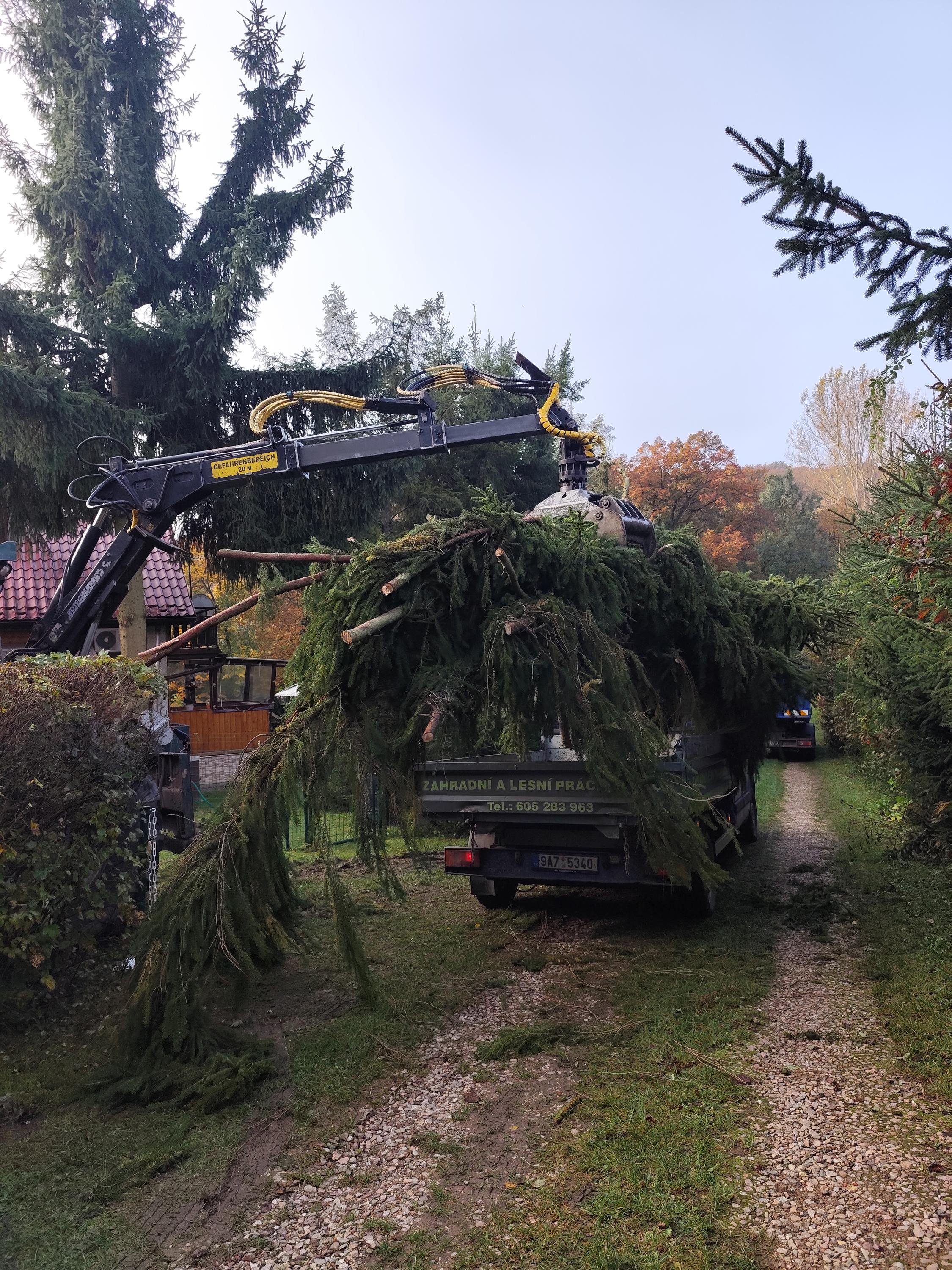 Zahradní a lesní práce Koštuřík - Zalko foto 4