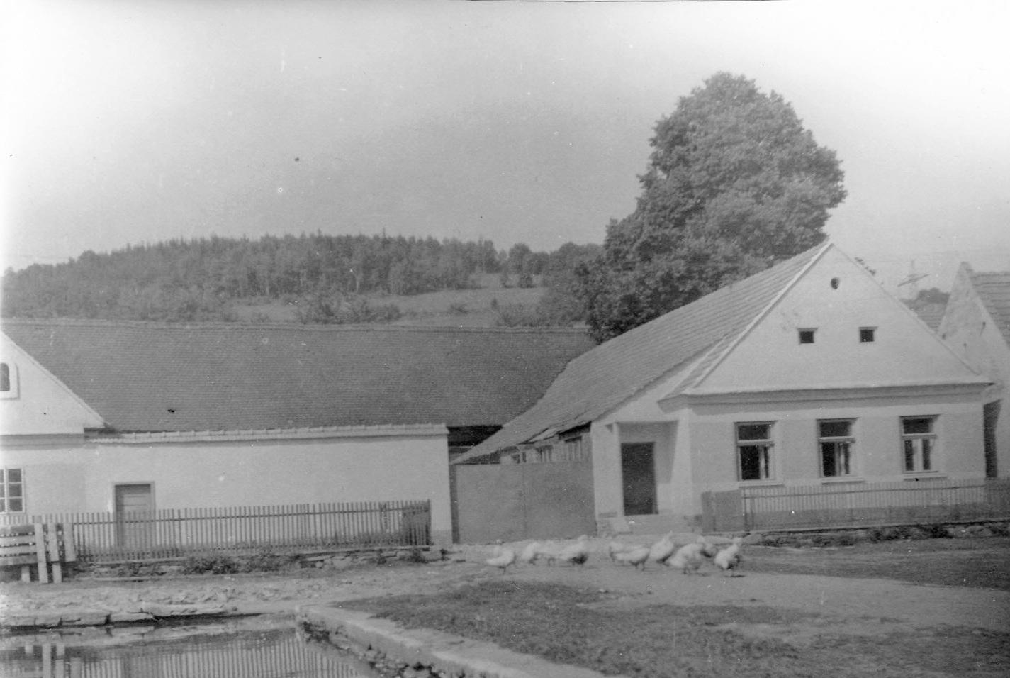 Ubytování V Koutě foto 2