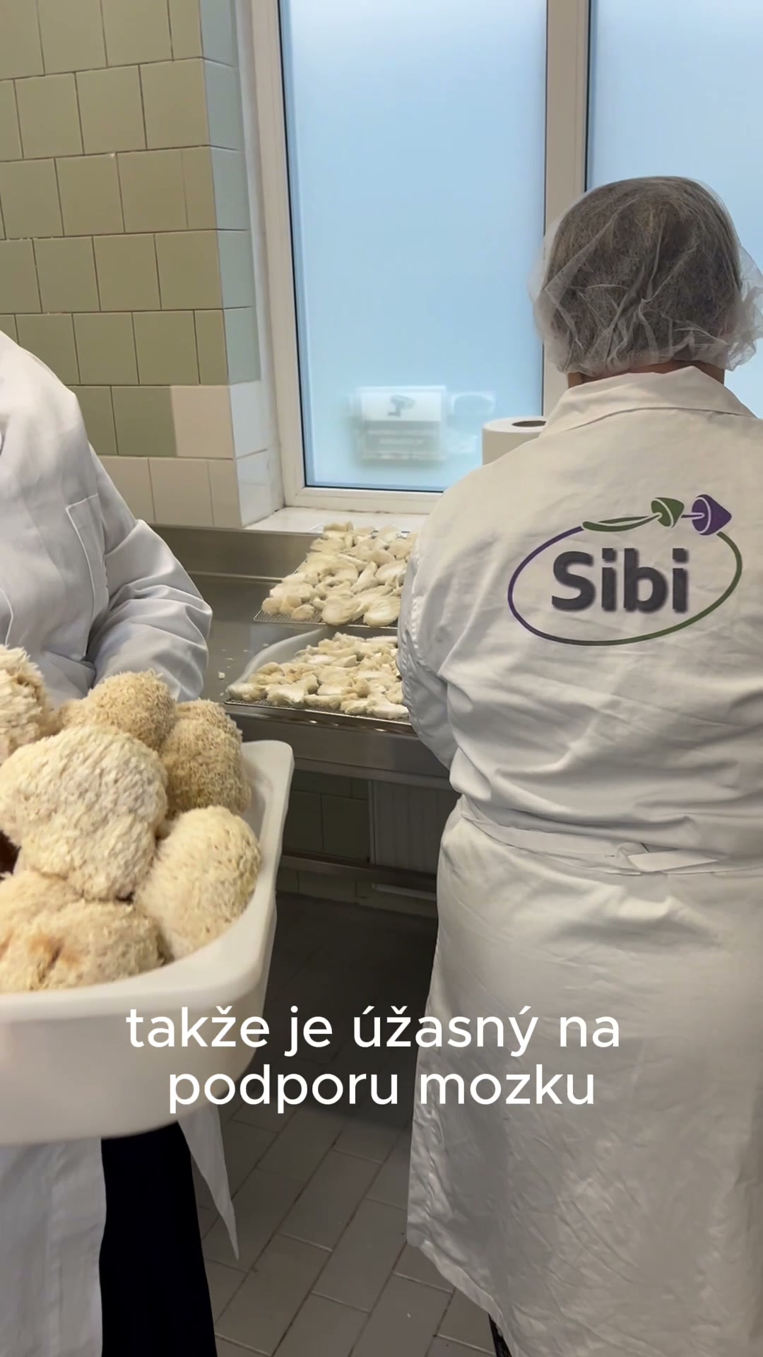 Sibi.cz foto 2 (náhled videa)
