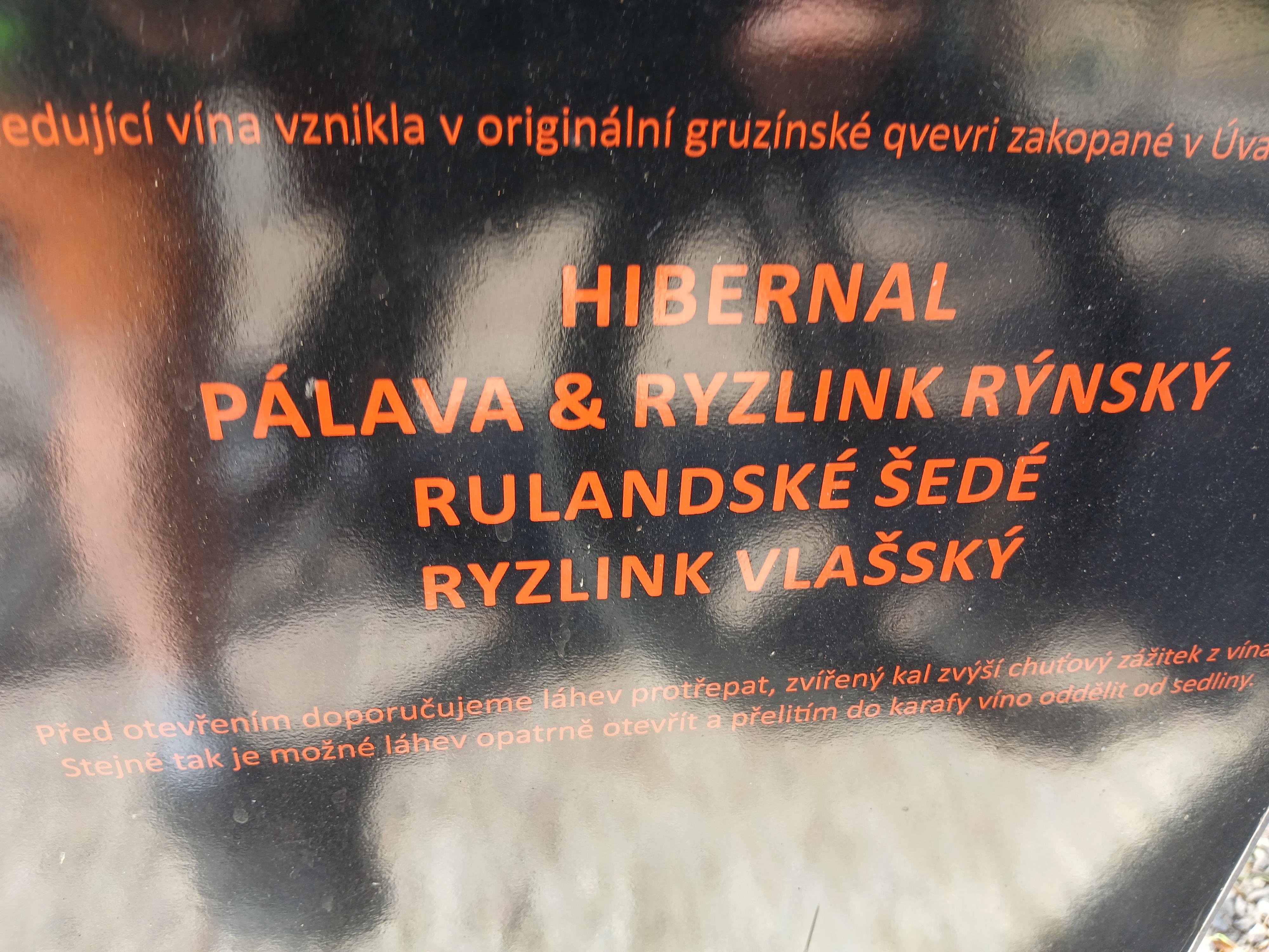 Ing. Viktor Filipi foto 3