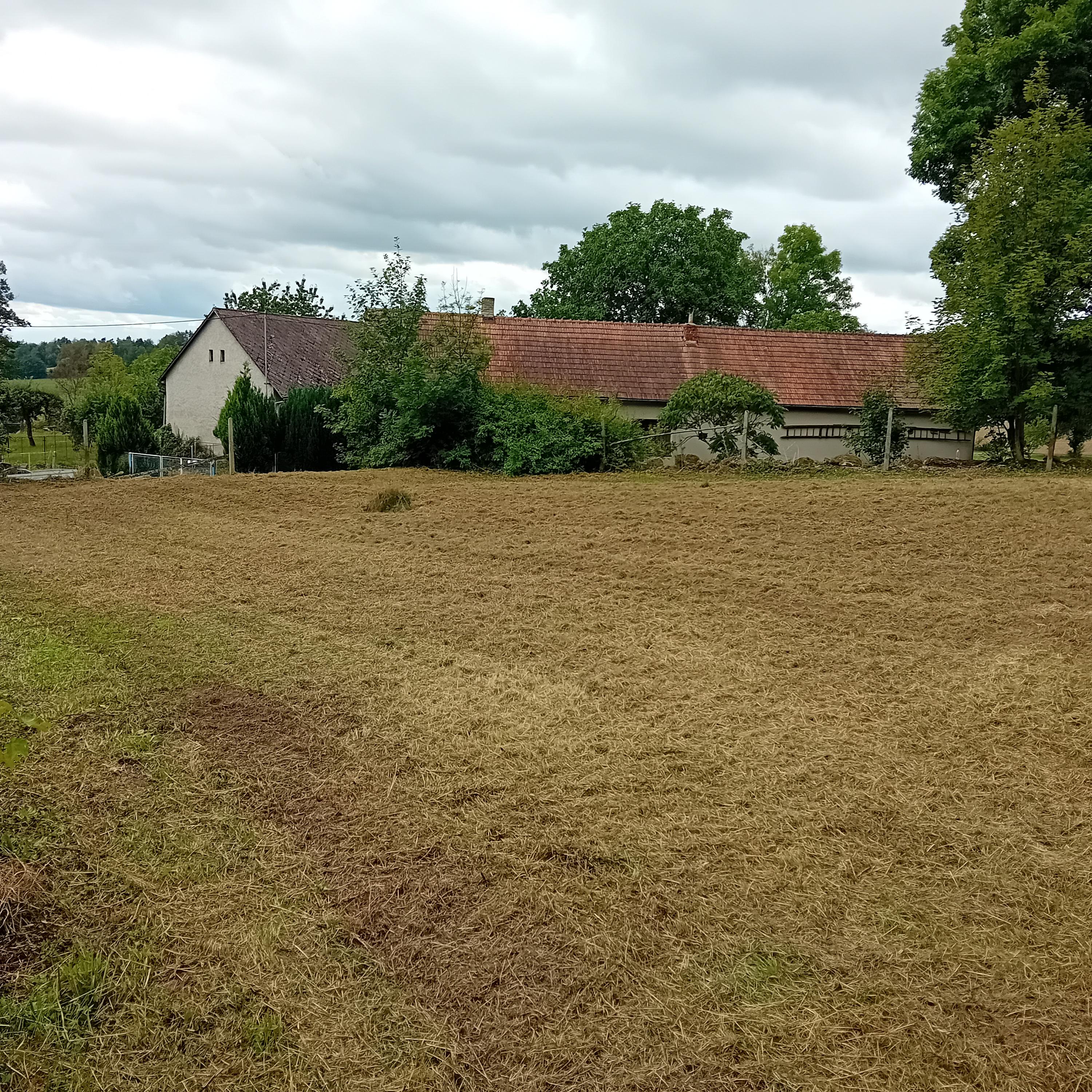 BezDžungle foto 4