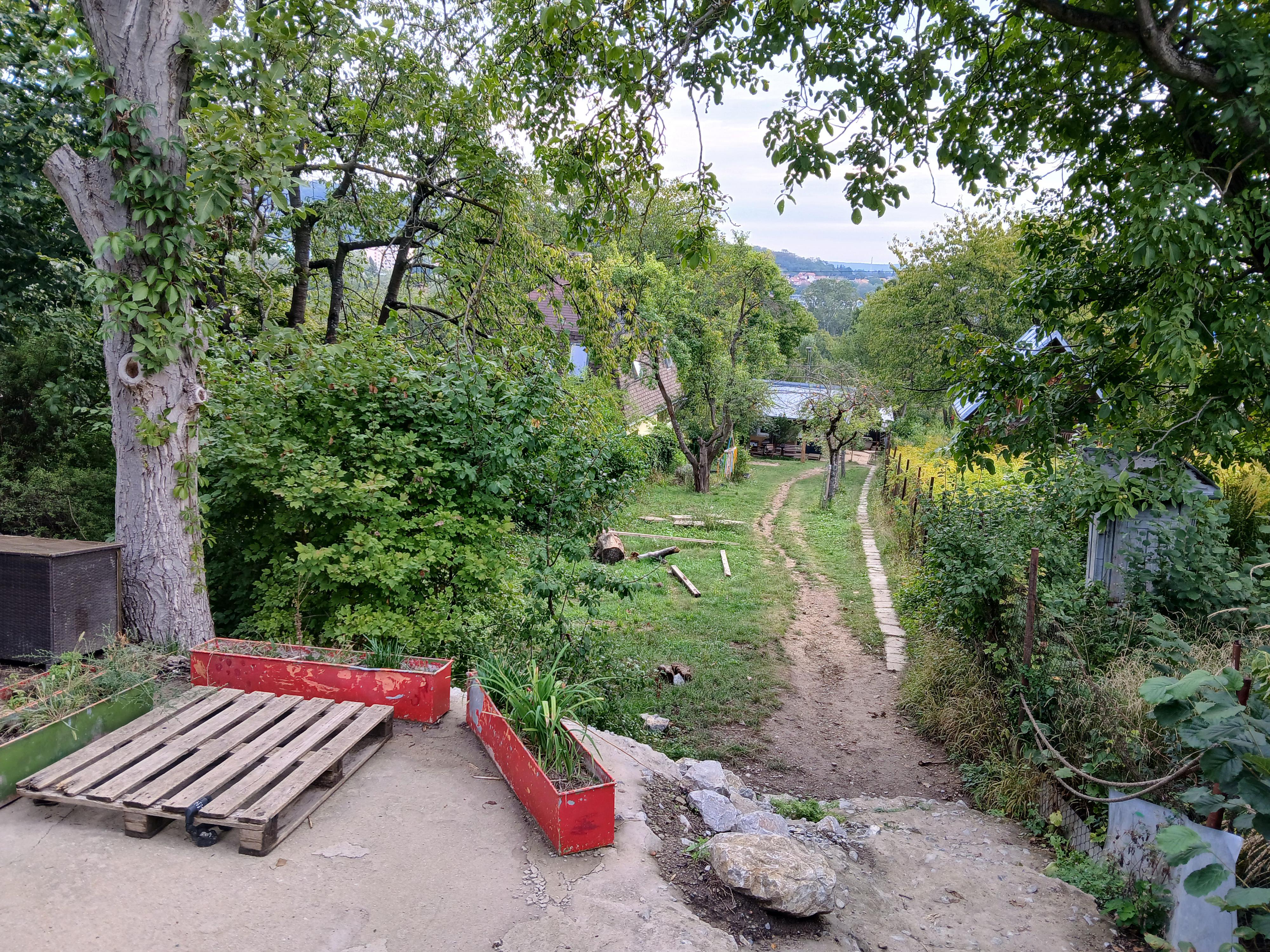 Lesní Klub Sojka foto 3