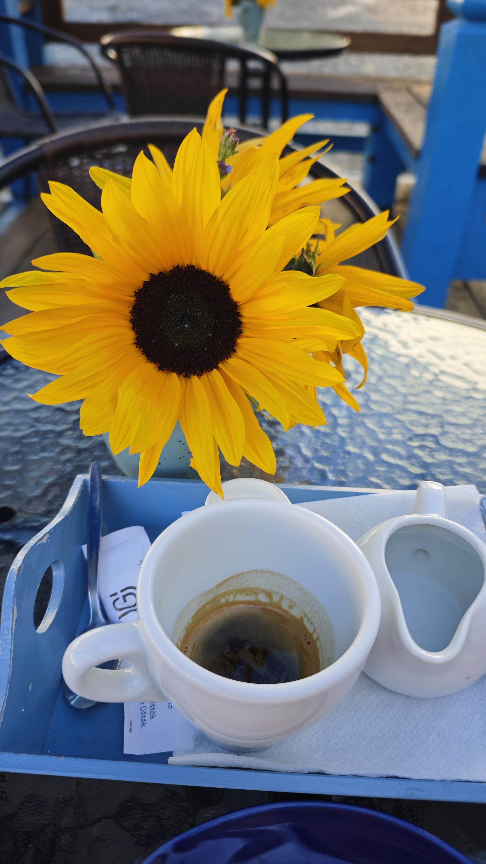Café Galerie Úštěk foto 6