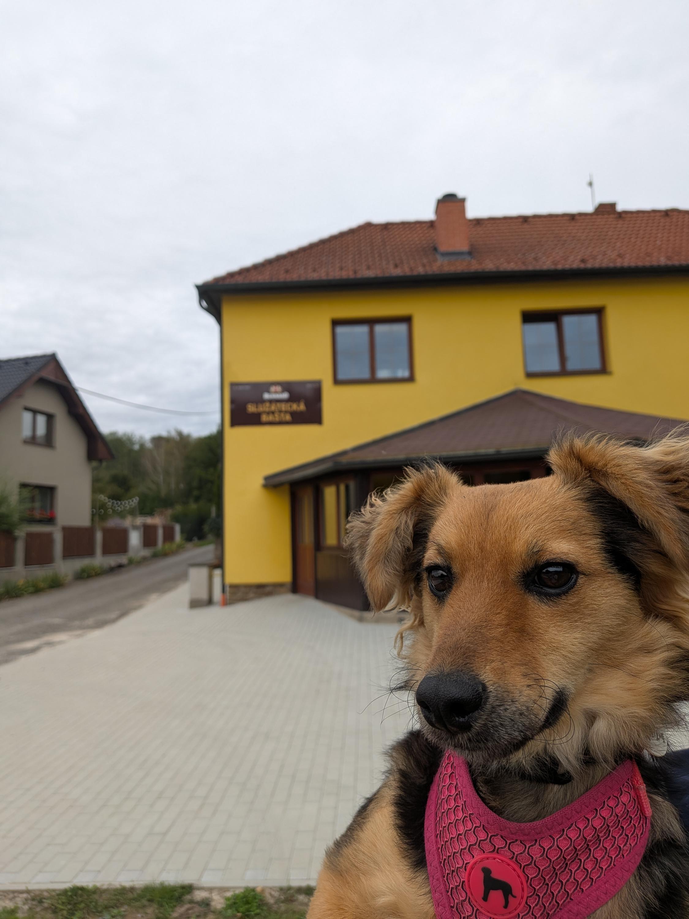 Služátky - obecní úřad foto 2