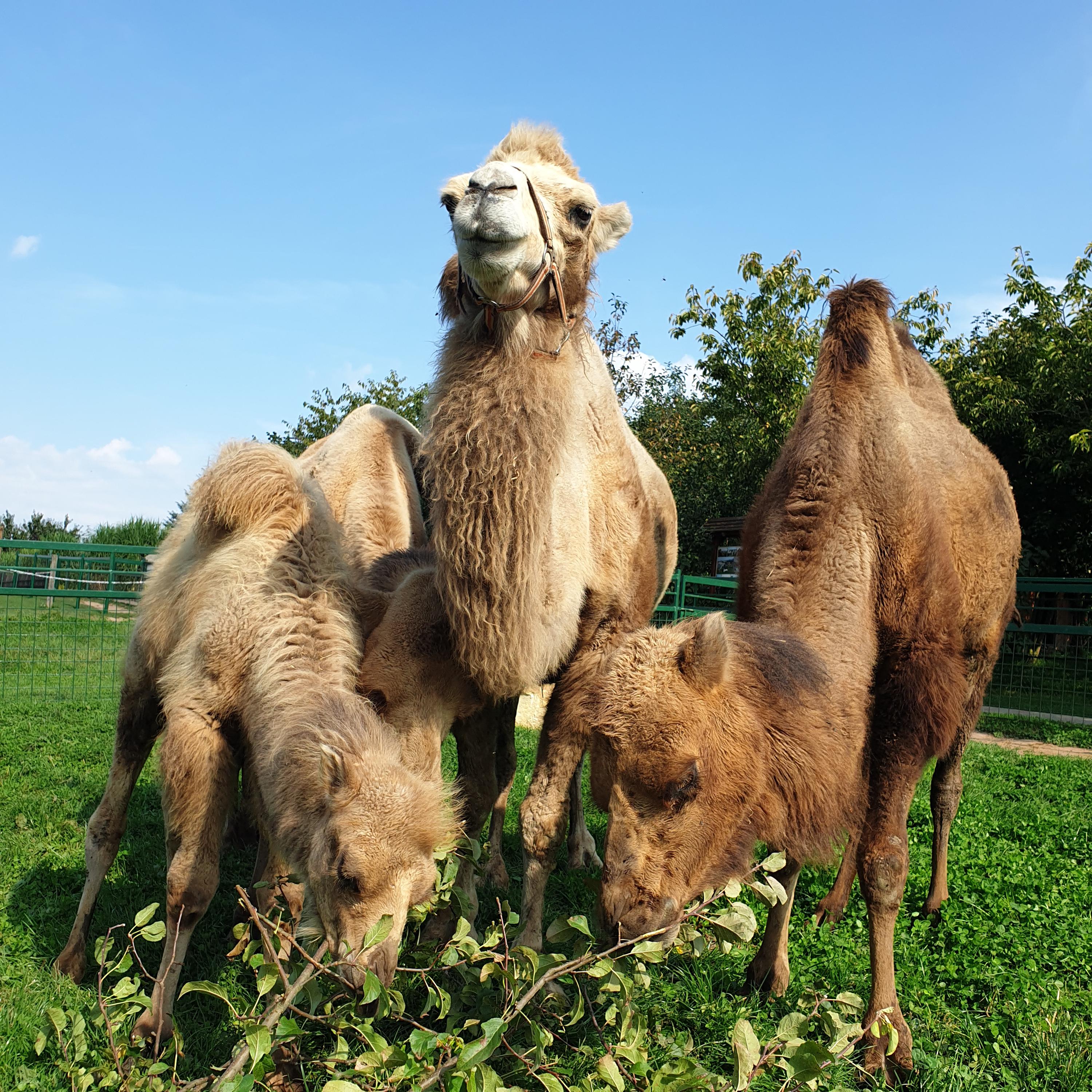 FARMA WENET BROUMOV foto 2