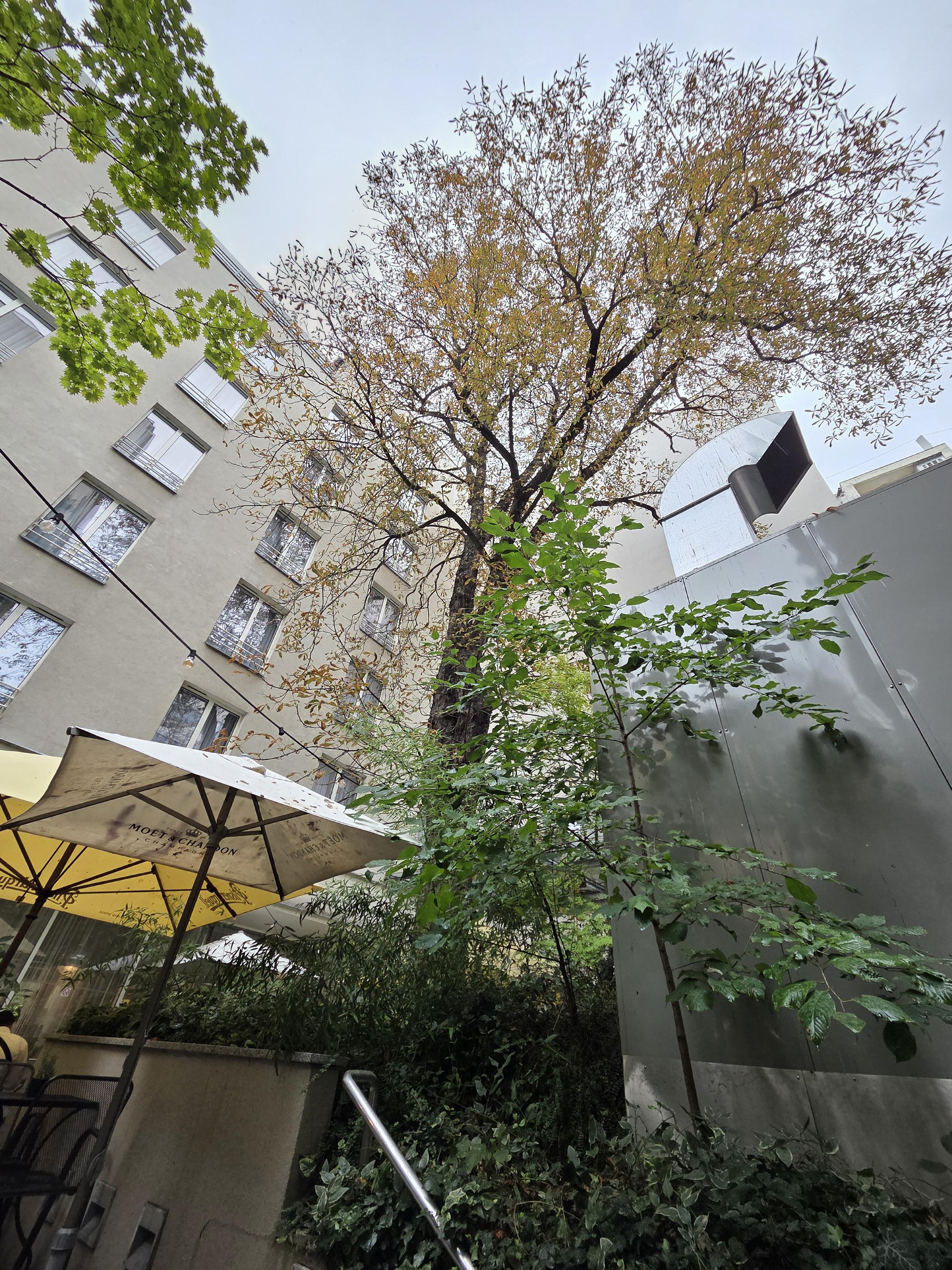 INGARDEN noodles restaurant cafe foto 3