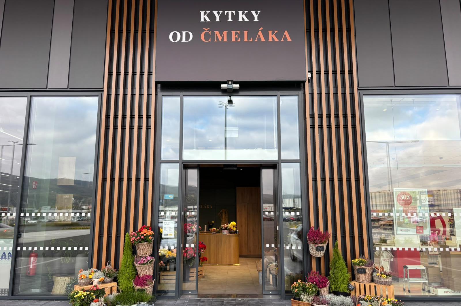 Kytky od čmeláka