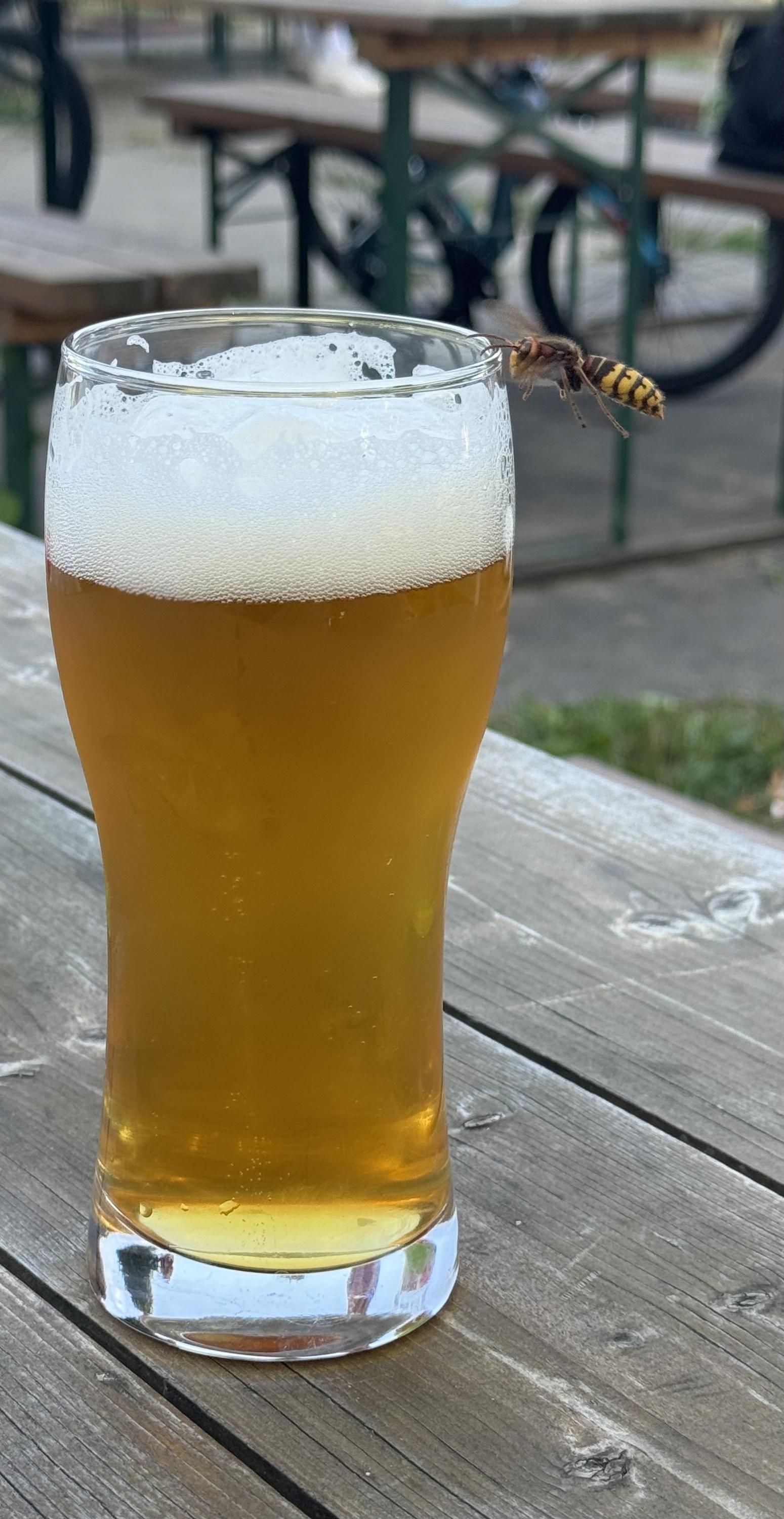 Porubská Myslivna foto 5