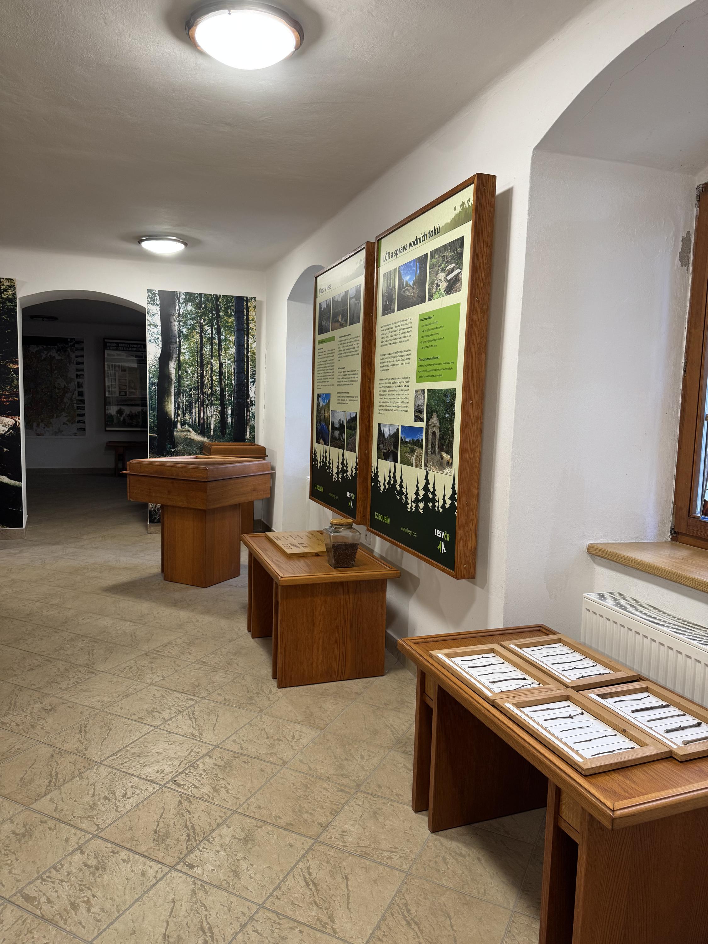 Muzeum lesa foto 6