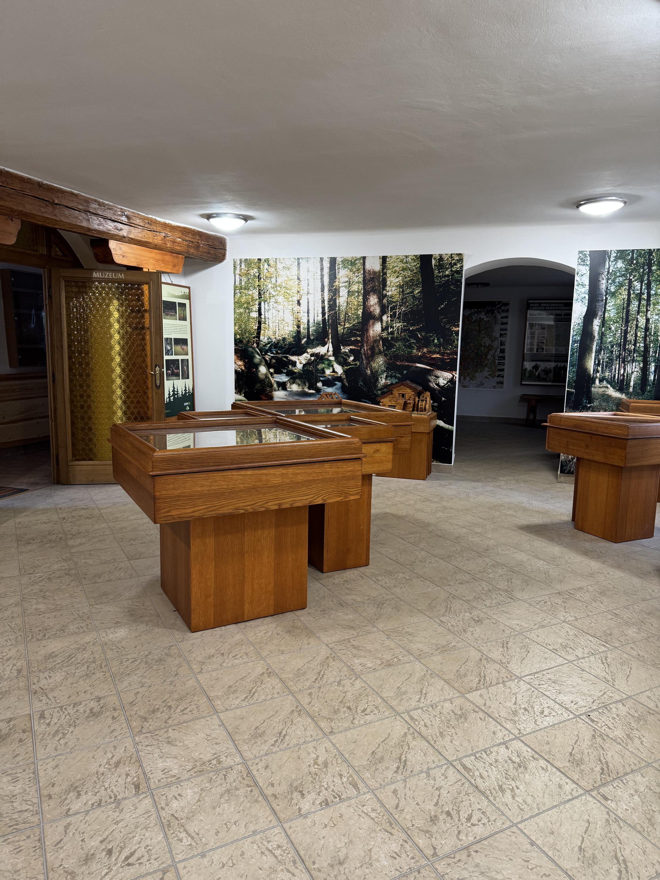 Muzeum lesa foto 5