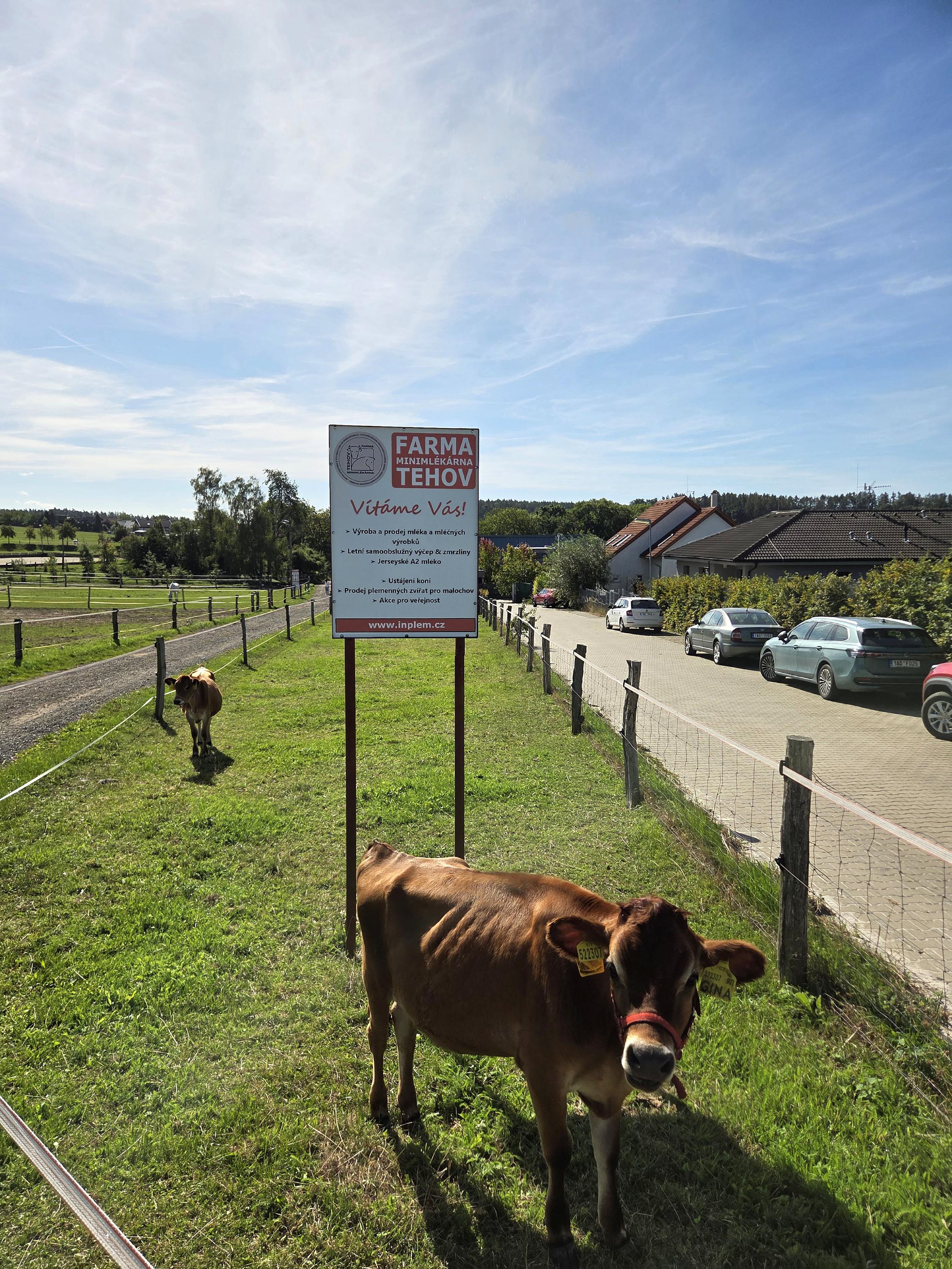 Farma a Minimlékárna Tehov & Stáj Farma Tehov foto 1