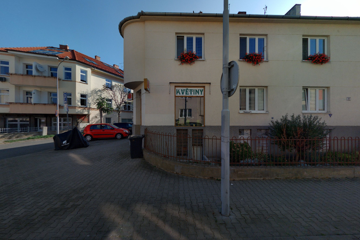 Květiny Bolzanova