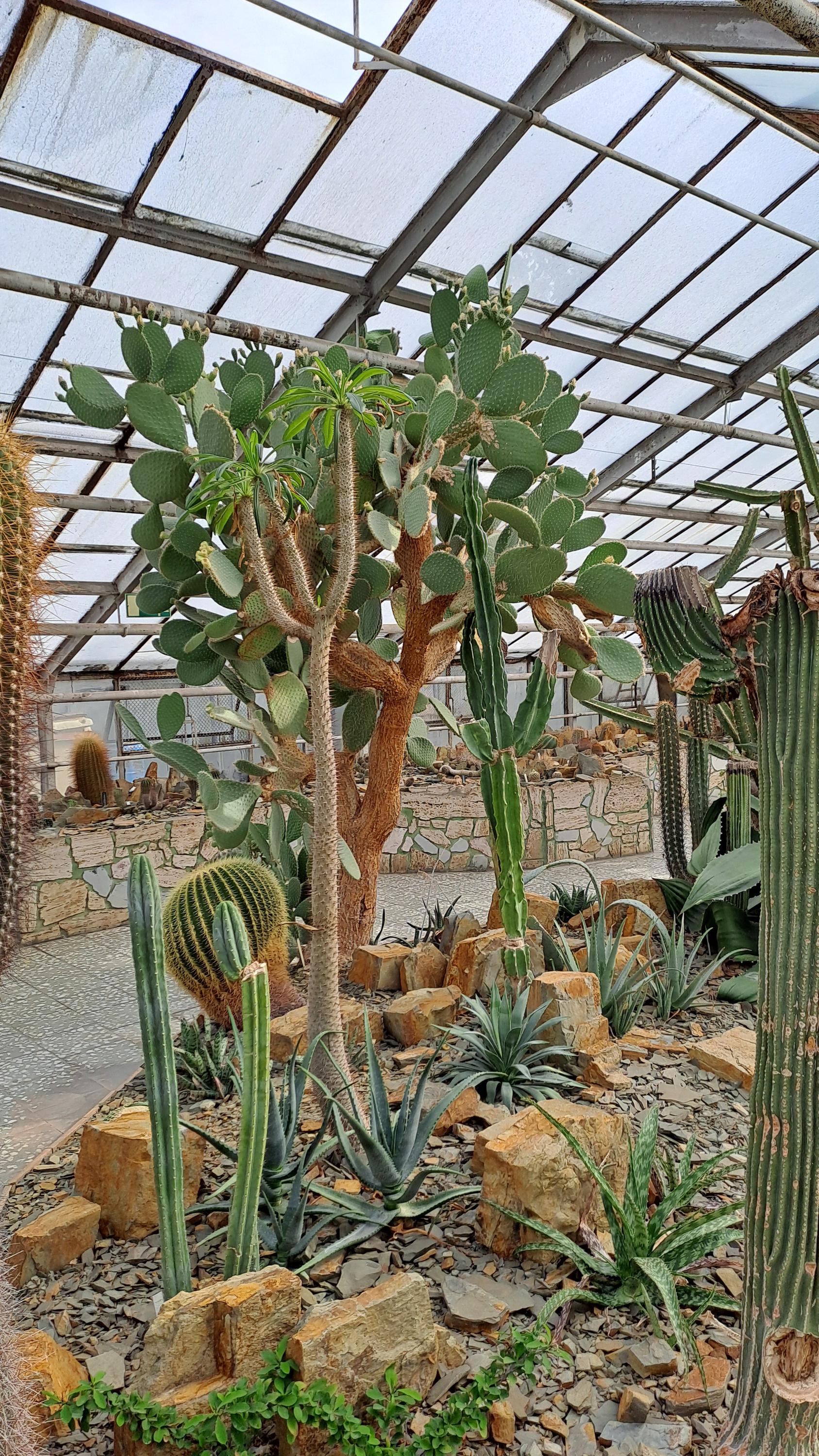 Sbírkové skleníky Výstaviště Flora Olomouc foto 6