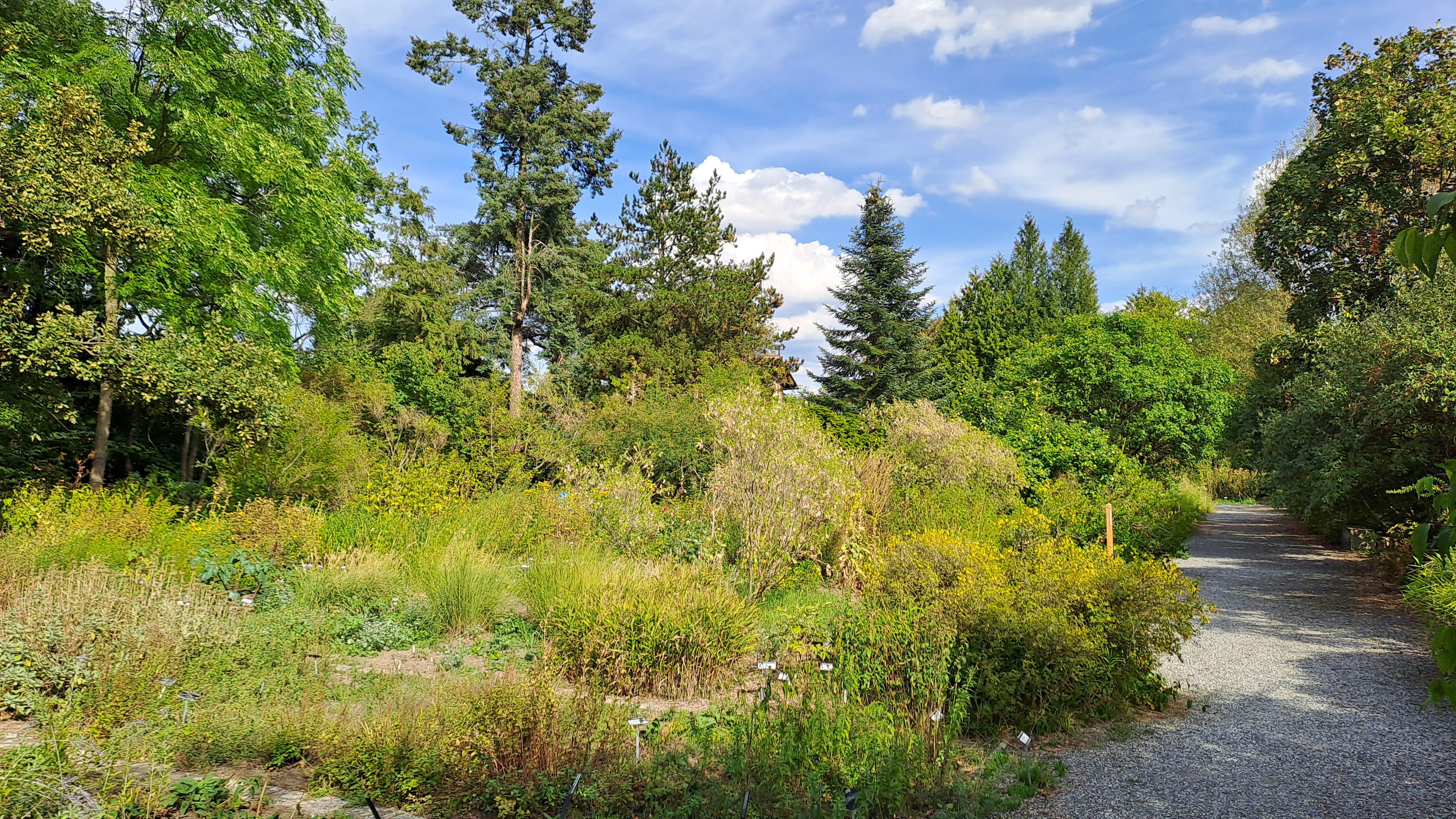 Botanická zahrada Přírodovědecké fakulty Univerzity Palackého v Olomouci foto 2