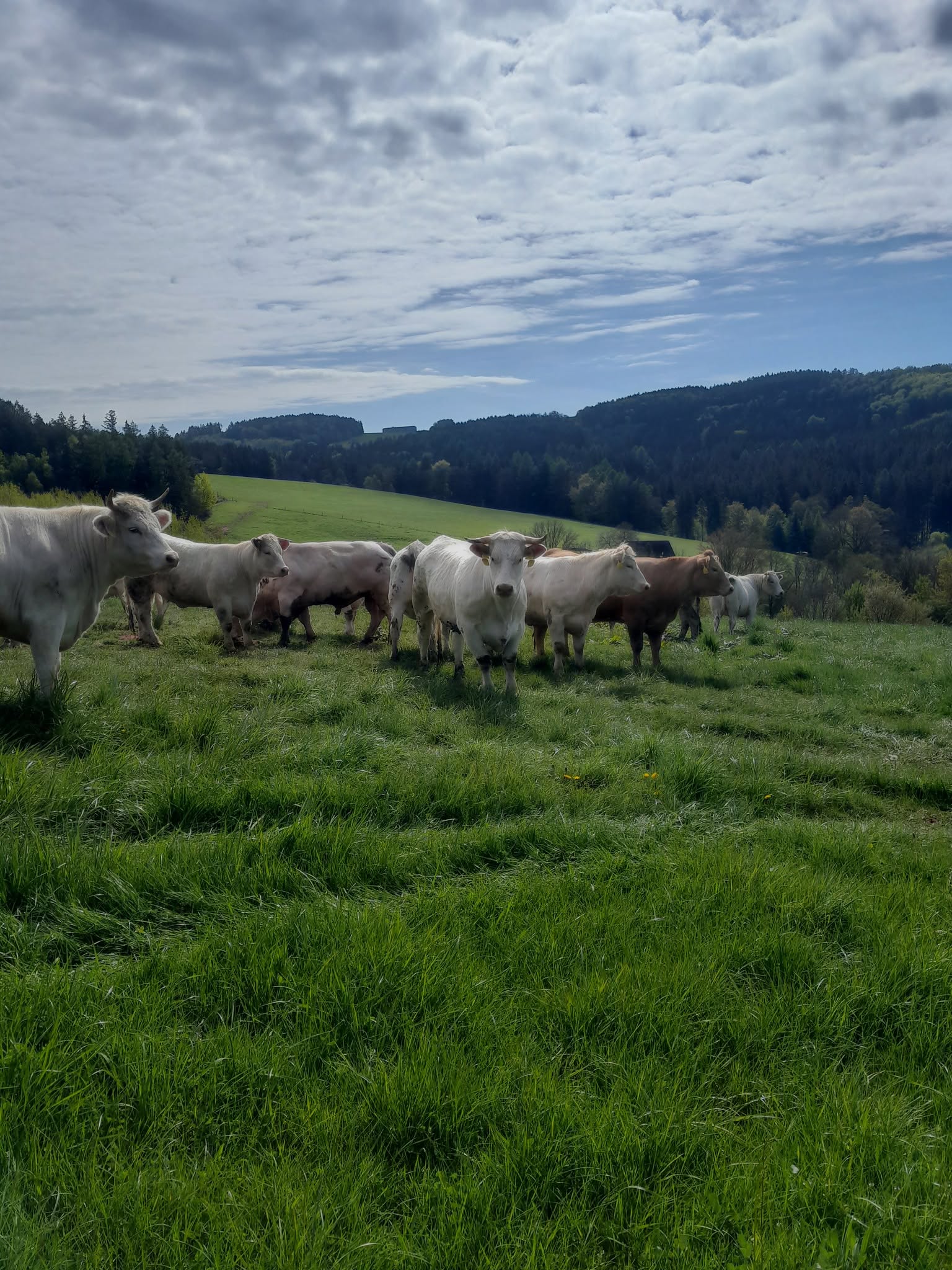 Rodinná farma Sedláčkovi foto 2