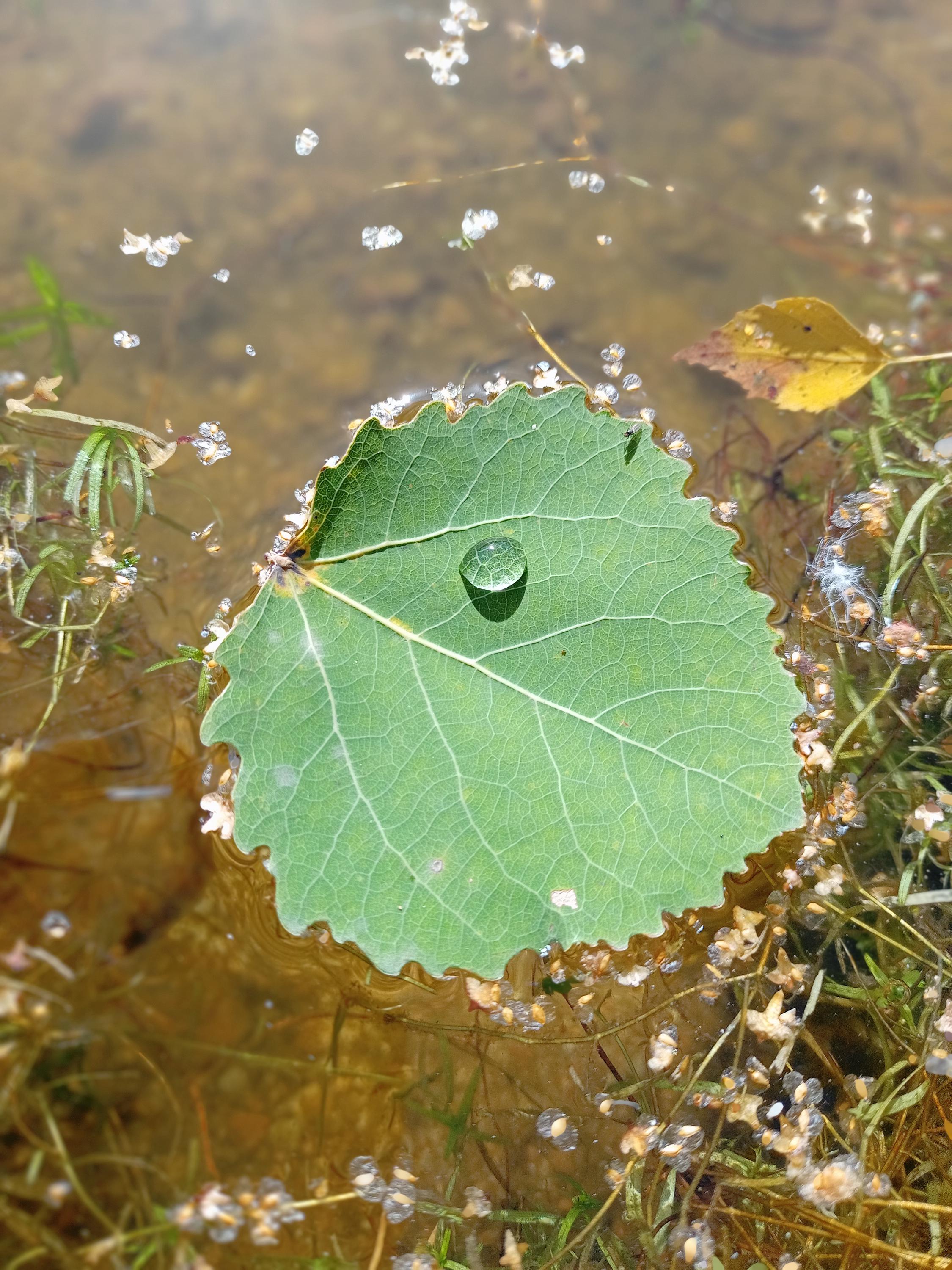 Vodní nádrž Plivátko foto 5