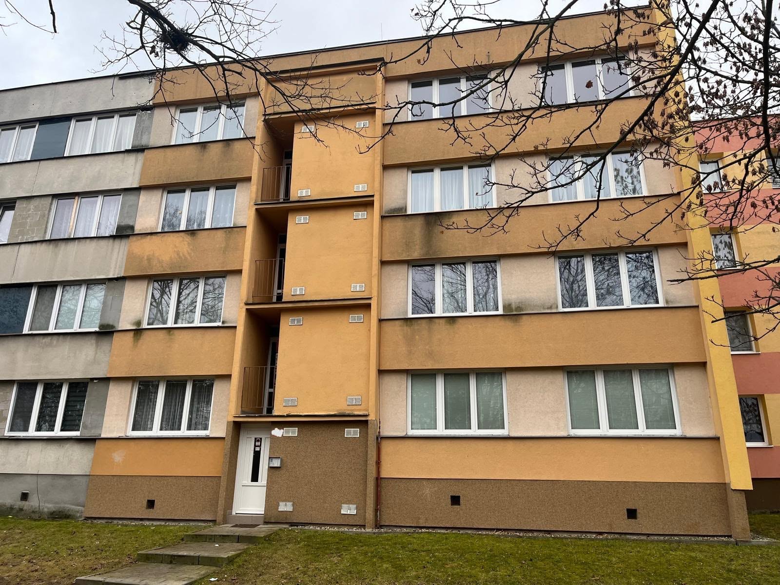 cistenistrech.eu - čištění střech, fasád a dlažeb foto 4